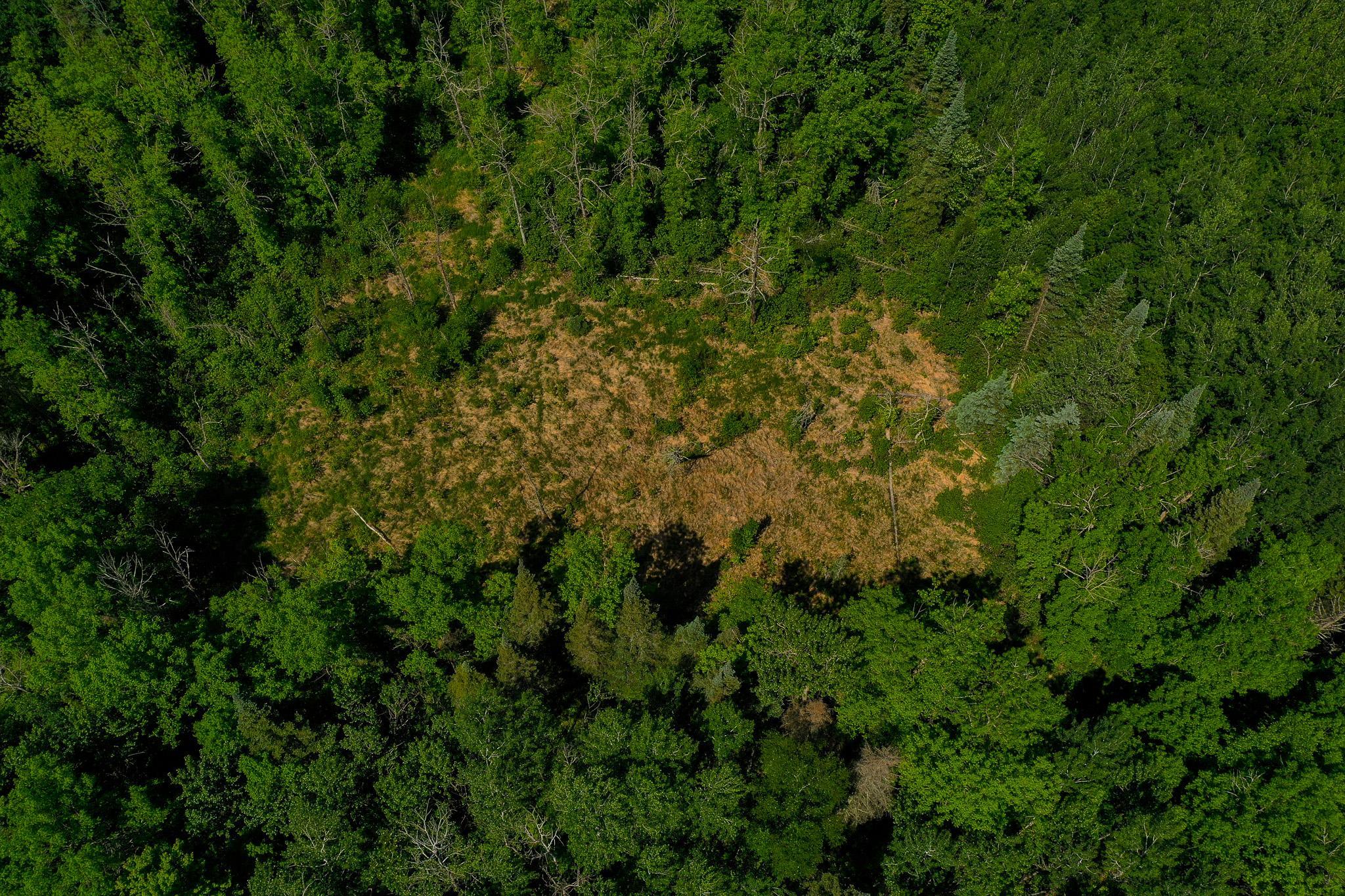Tbd County Highway 47 Property Photo 2