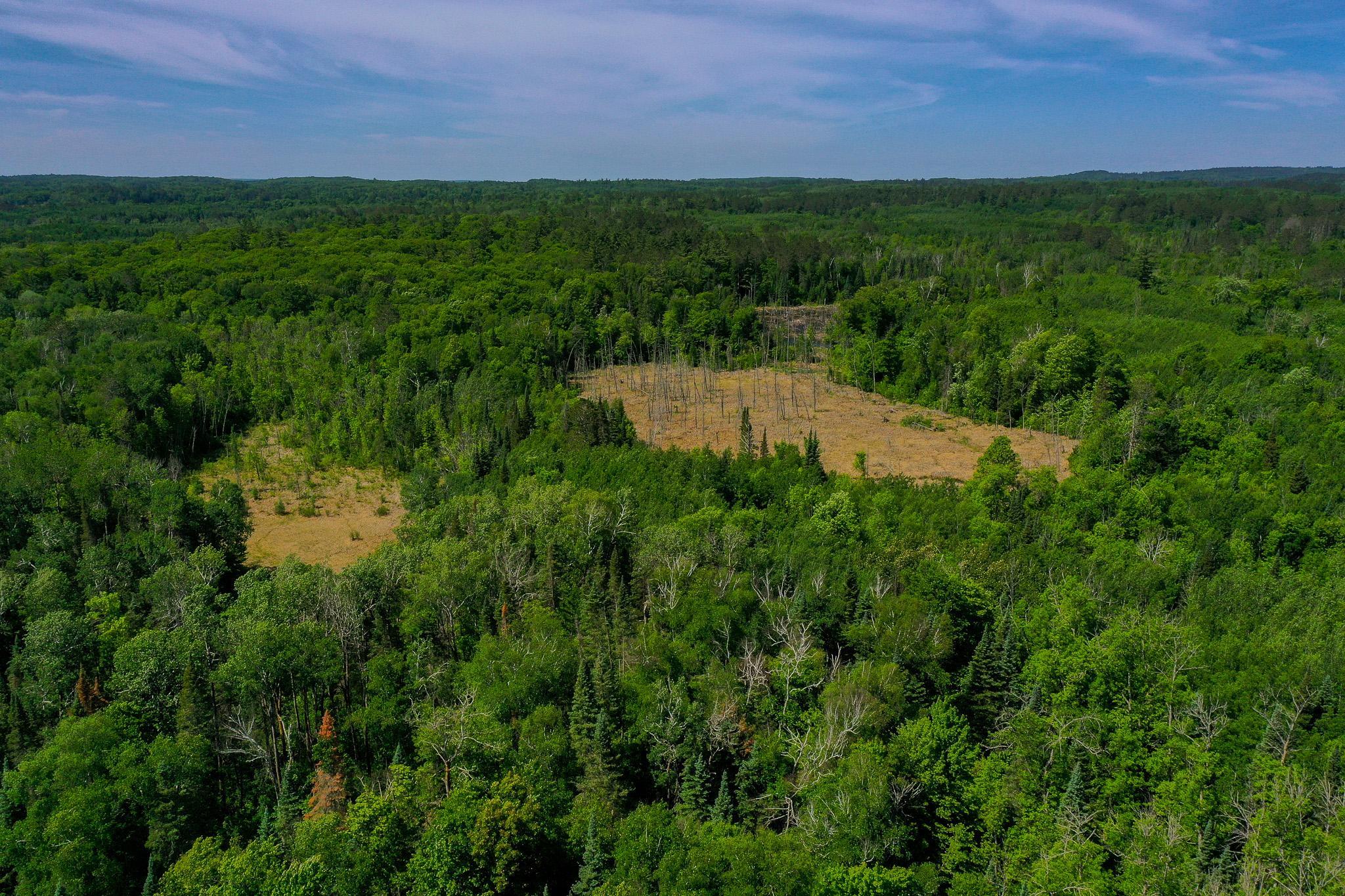 Tbd County Highway 47 Property Photo 3