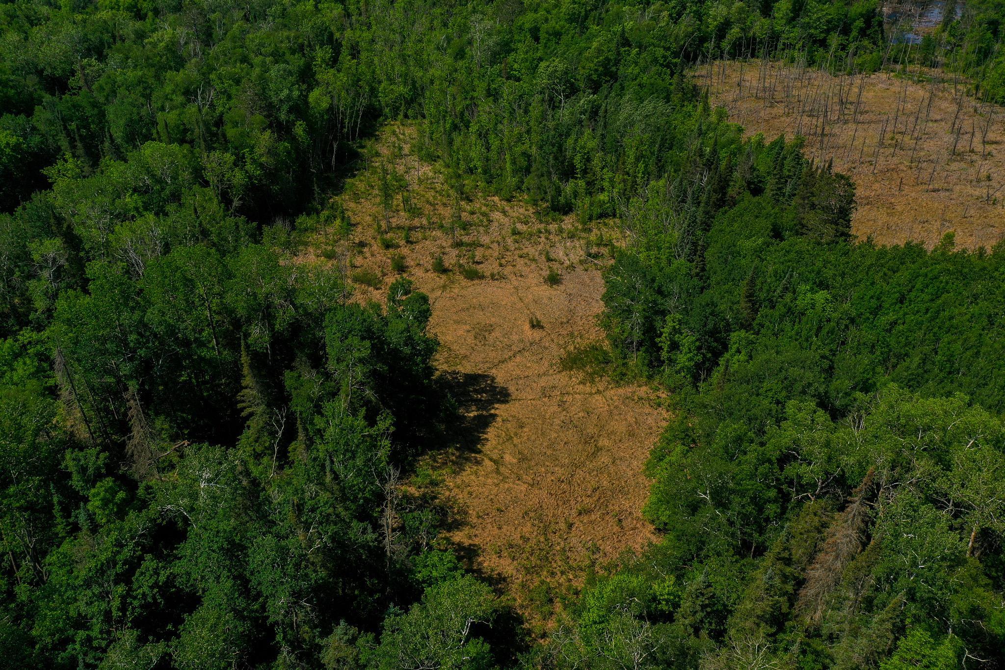Tbd County Highway 47 Property Photo 4