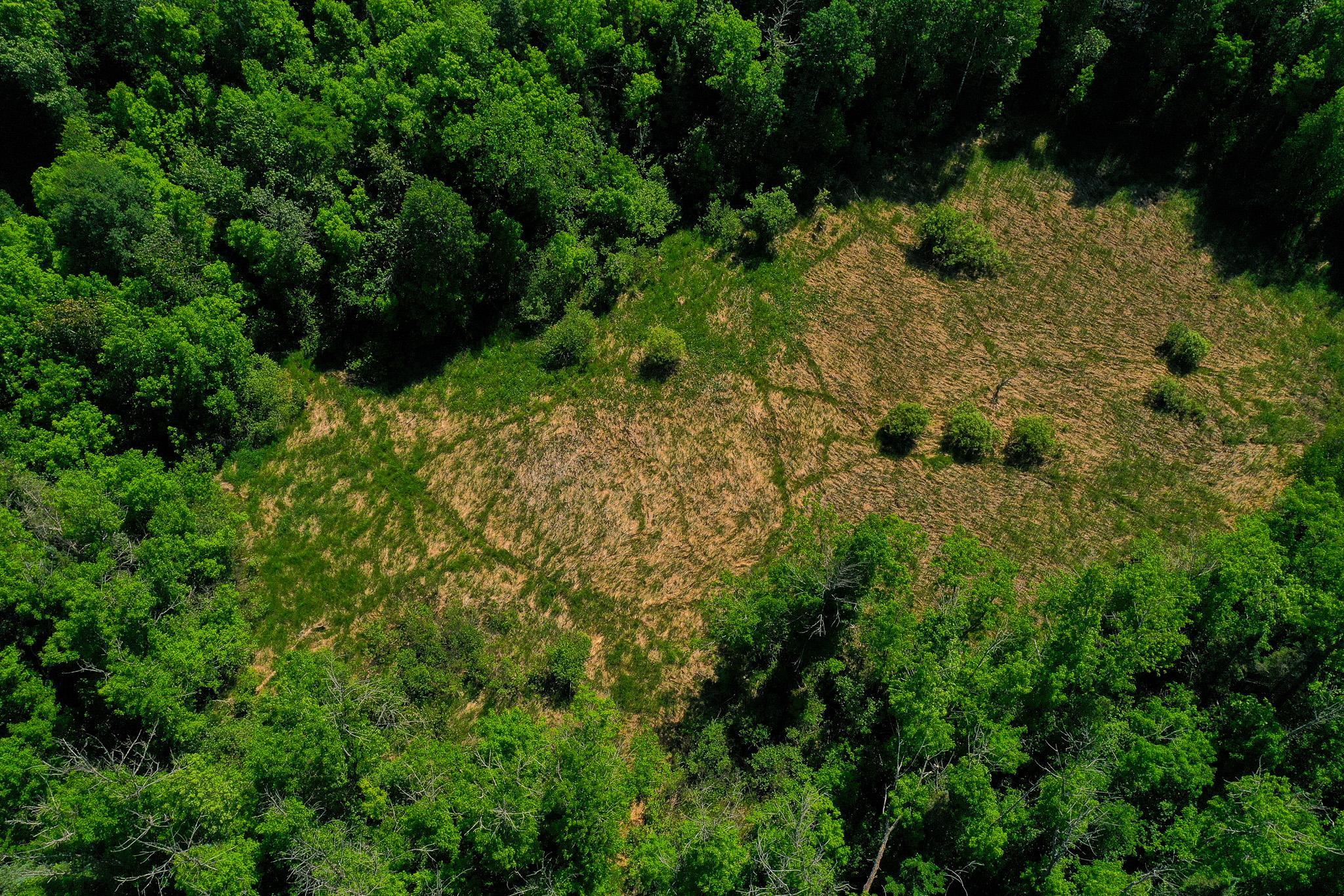 Tbd County Highway 47 Property Photo 6