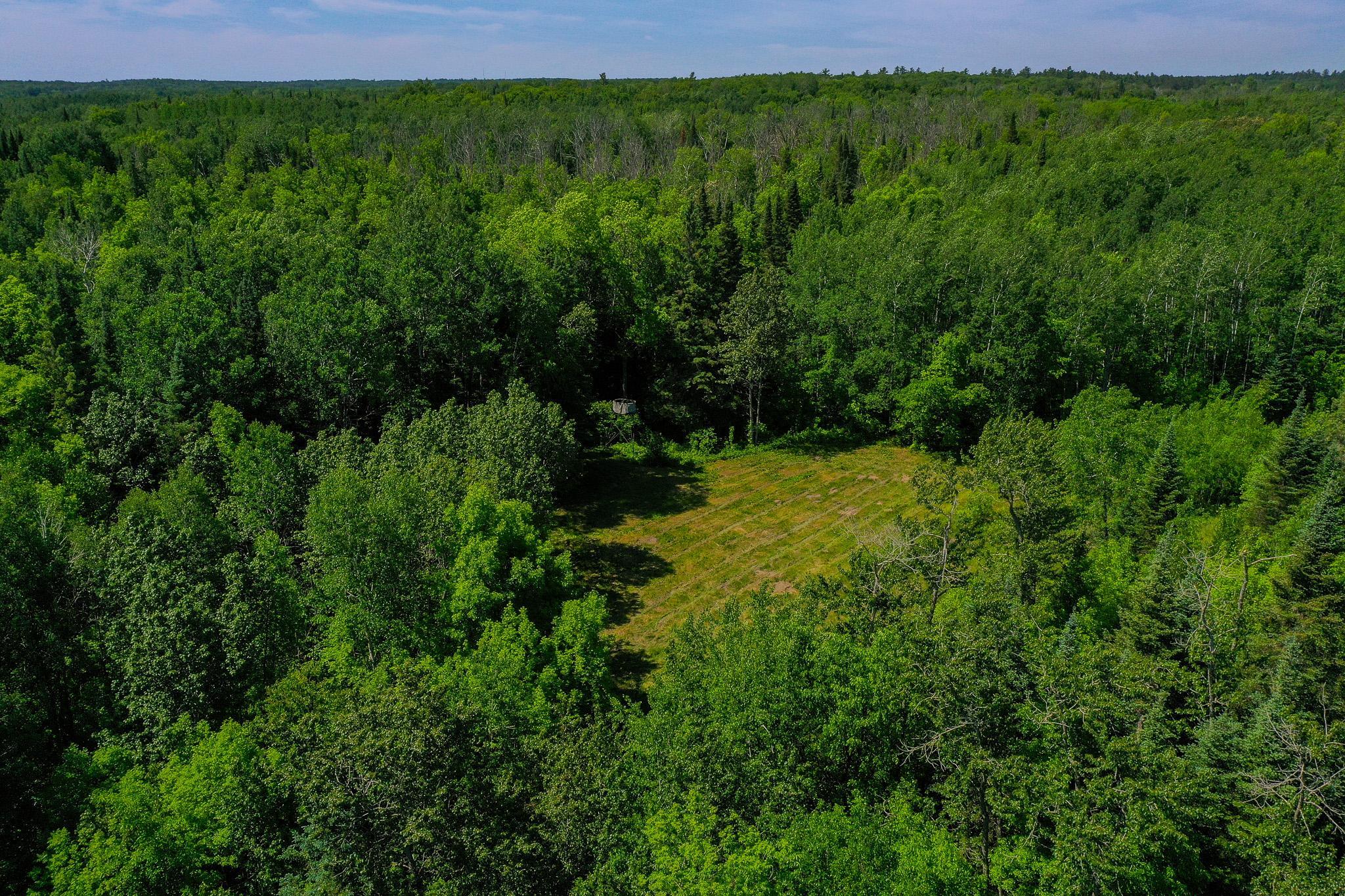 Tbd County Highway 47 Property Photo 7