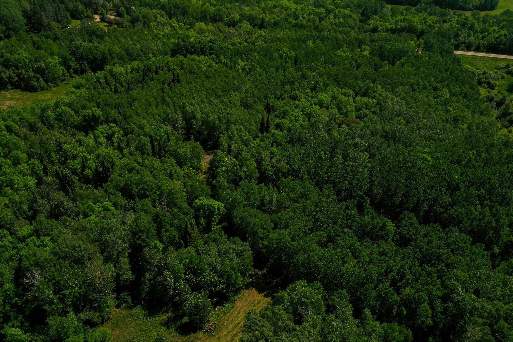 Tbd County Highway 47 Property Photo 9