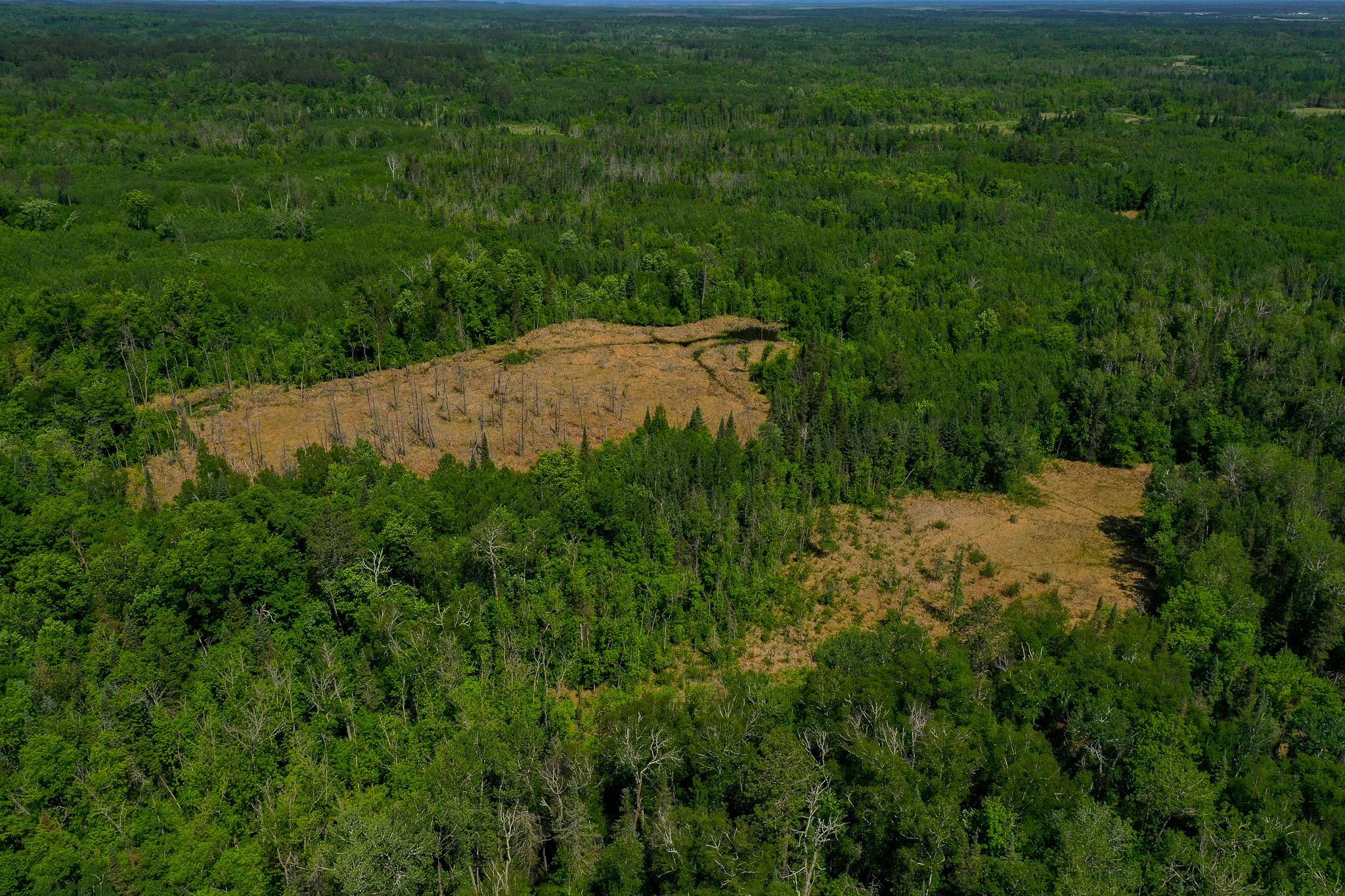 Tbd County Highway 47 Property Photo 13