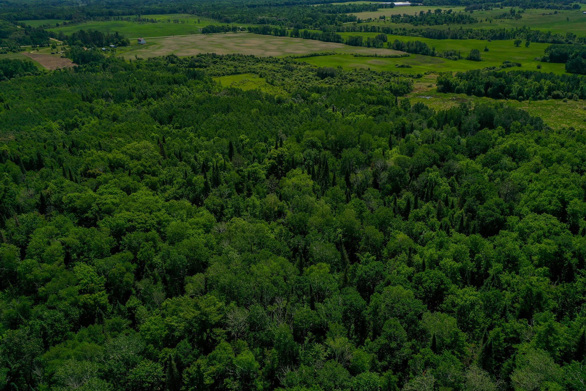 Tbd County Highway 47 Property Photo 14