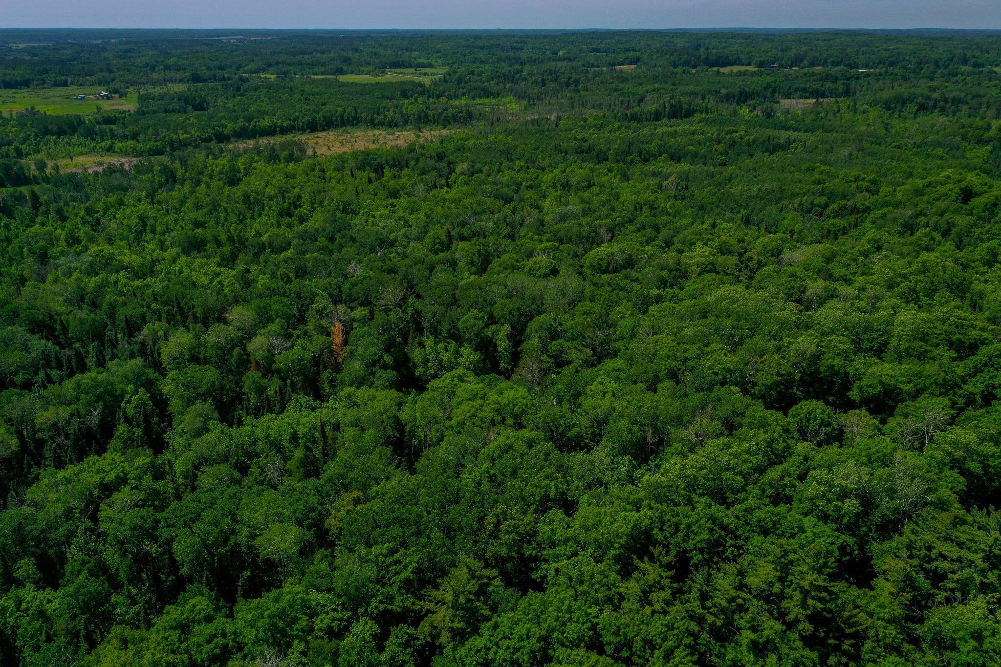 Tbd County Highway 47 Property Photo 15