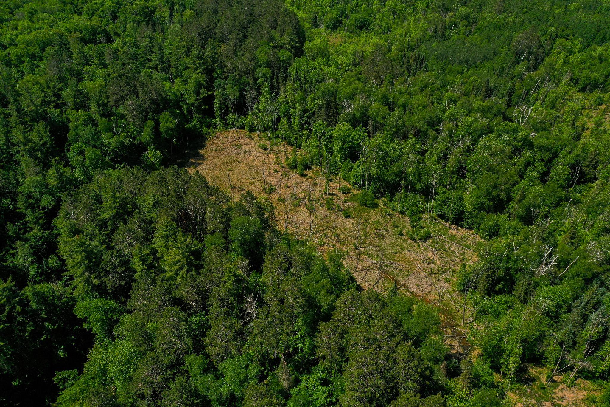 Tbd County Highway 47 Property Photo 17