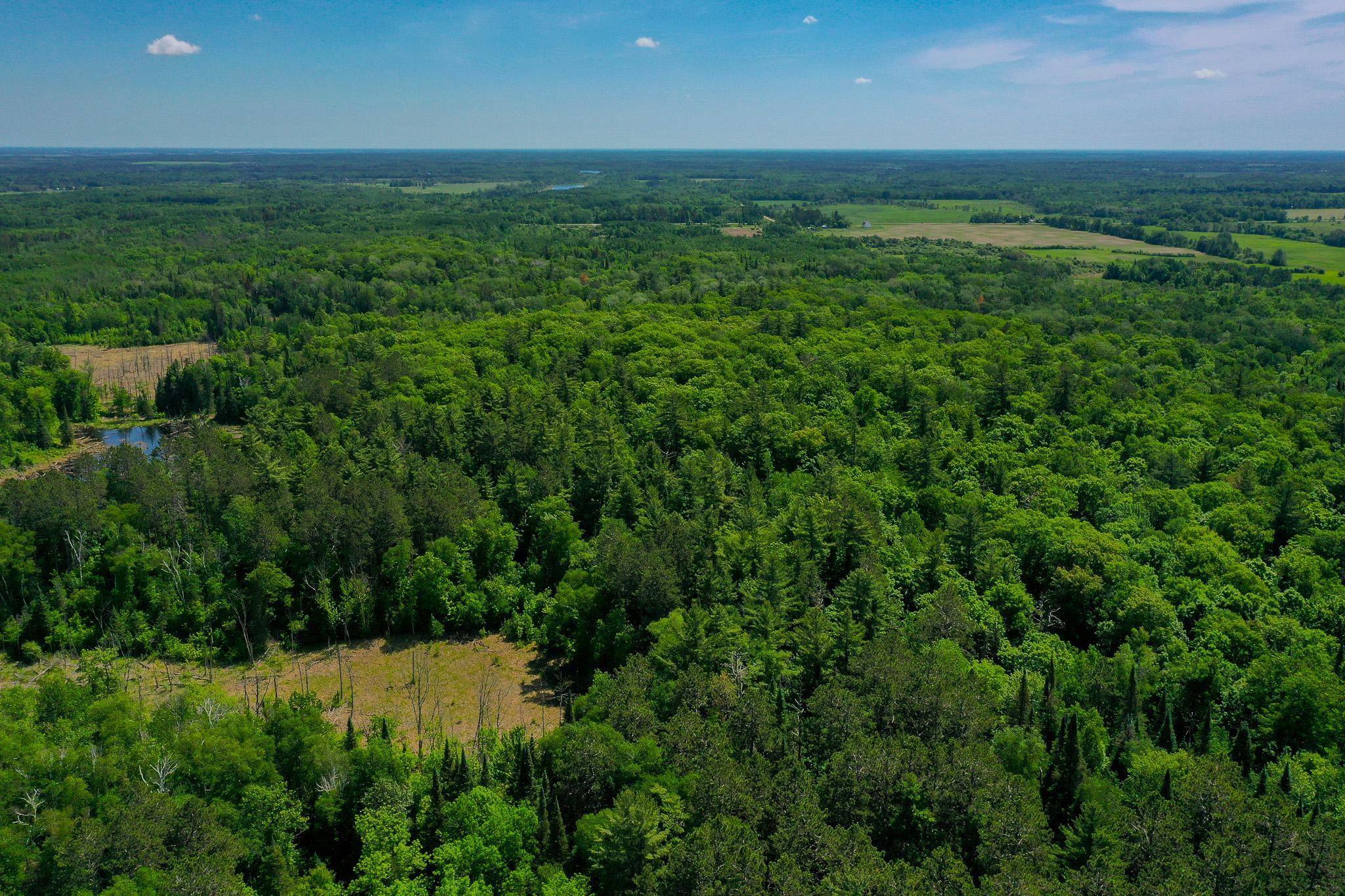 Tbd County Highway 47 Property Photo 18