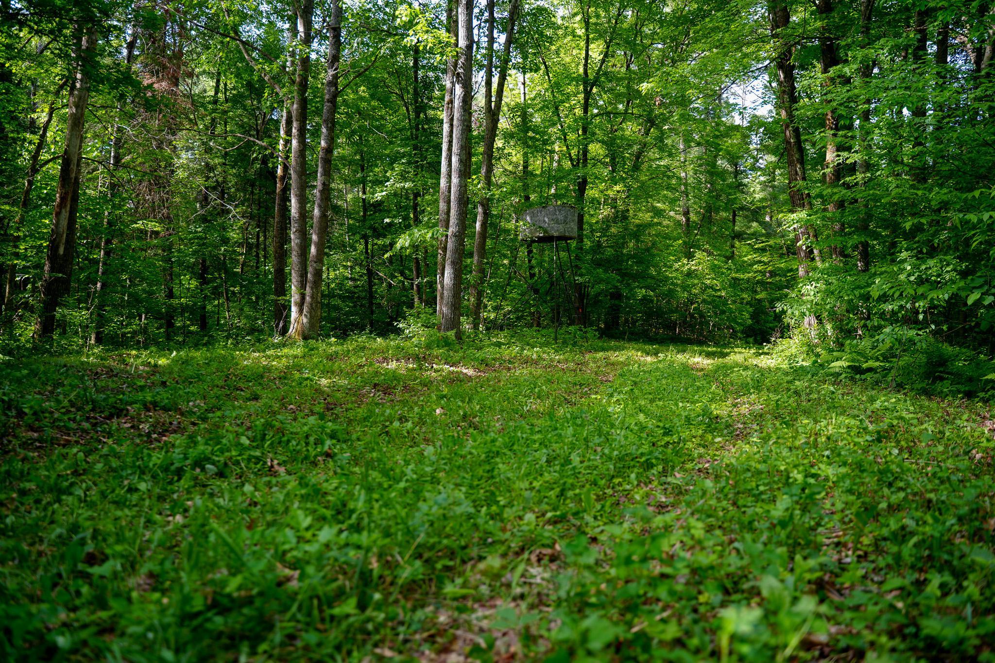 Tbd County Highway 47 Property Photo 19
