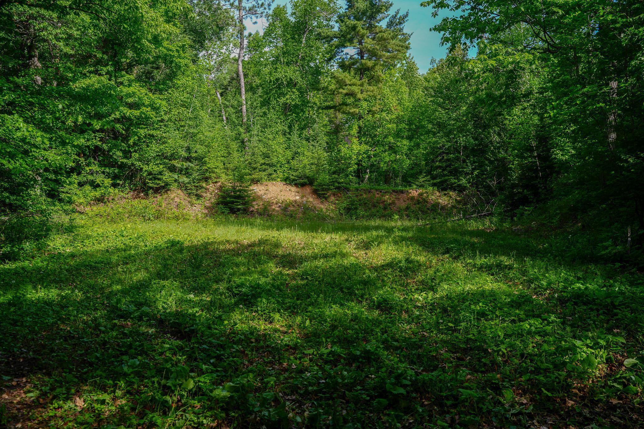 Tbd County Highway 47 Property Photo 21