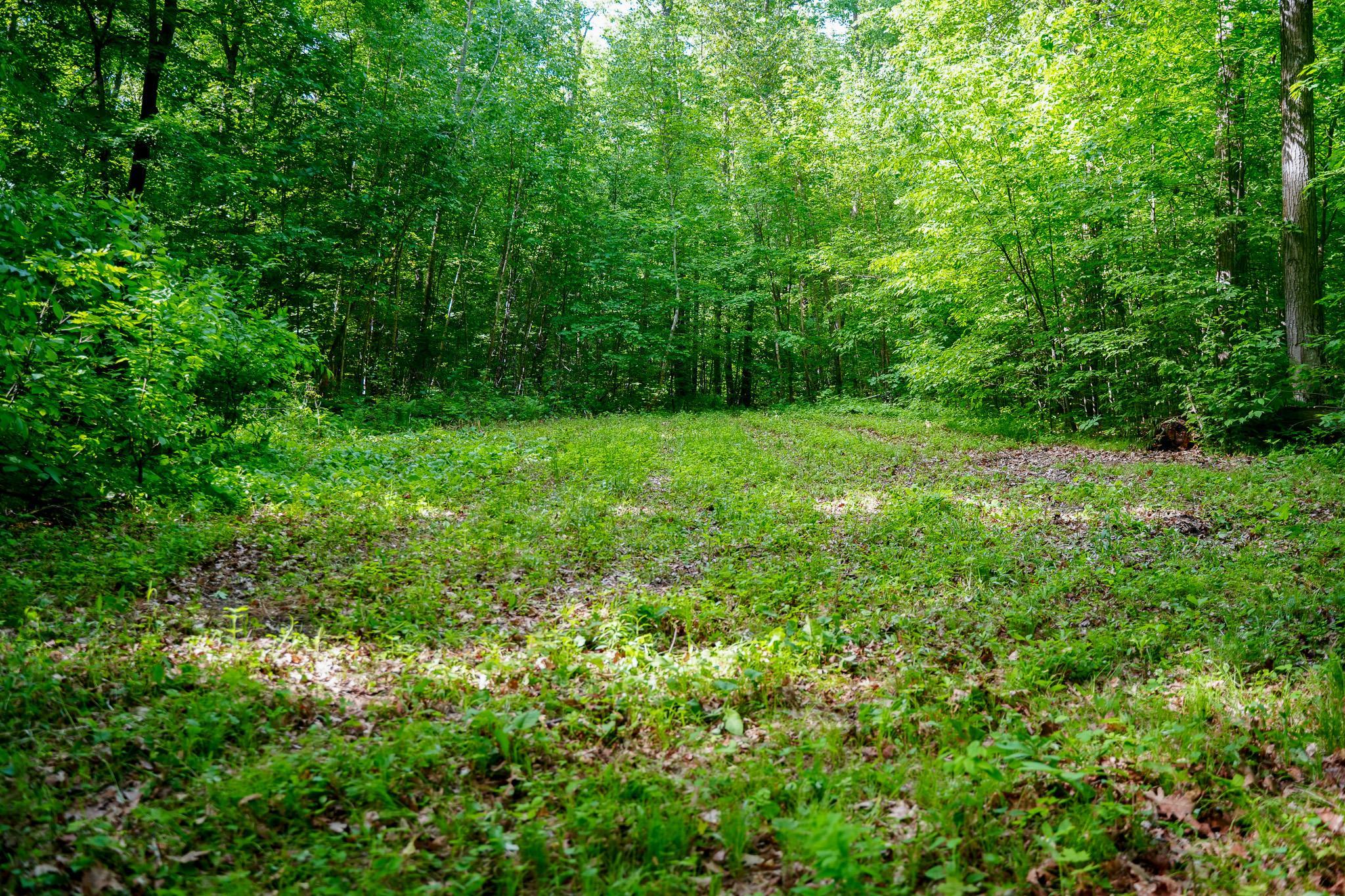 Tbd County Highway 47 Property Photo 24