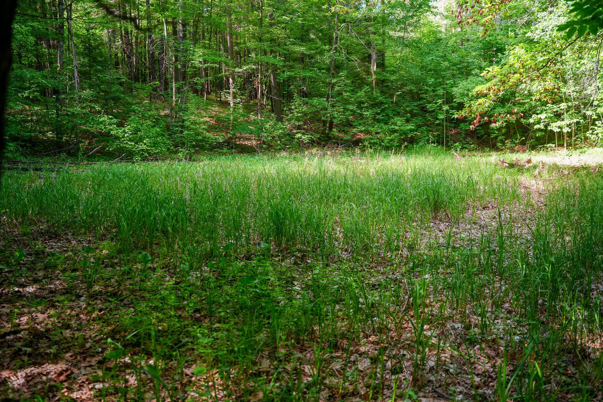 Tbd County Highway 47 Property Photo 27