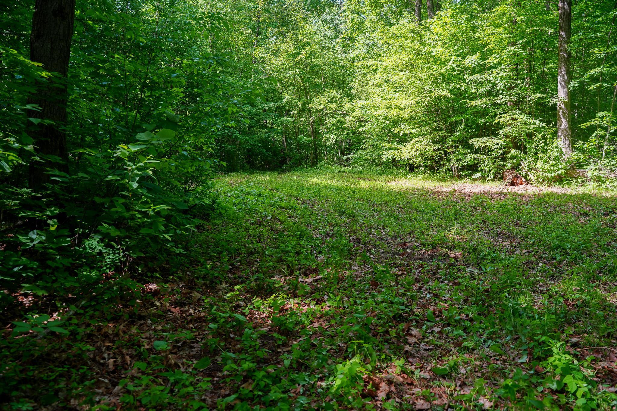 Tbd County Highway 47 Property Photo 33