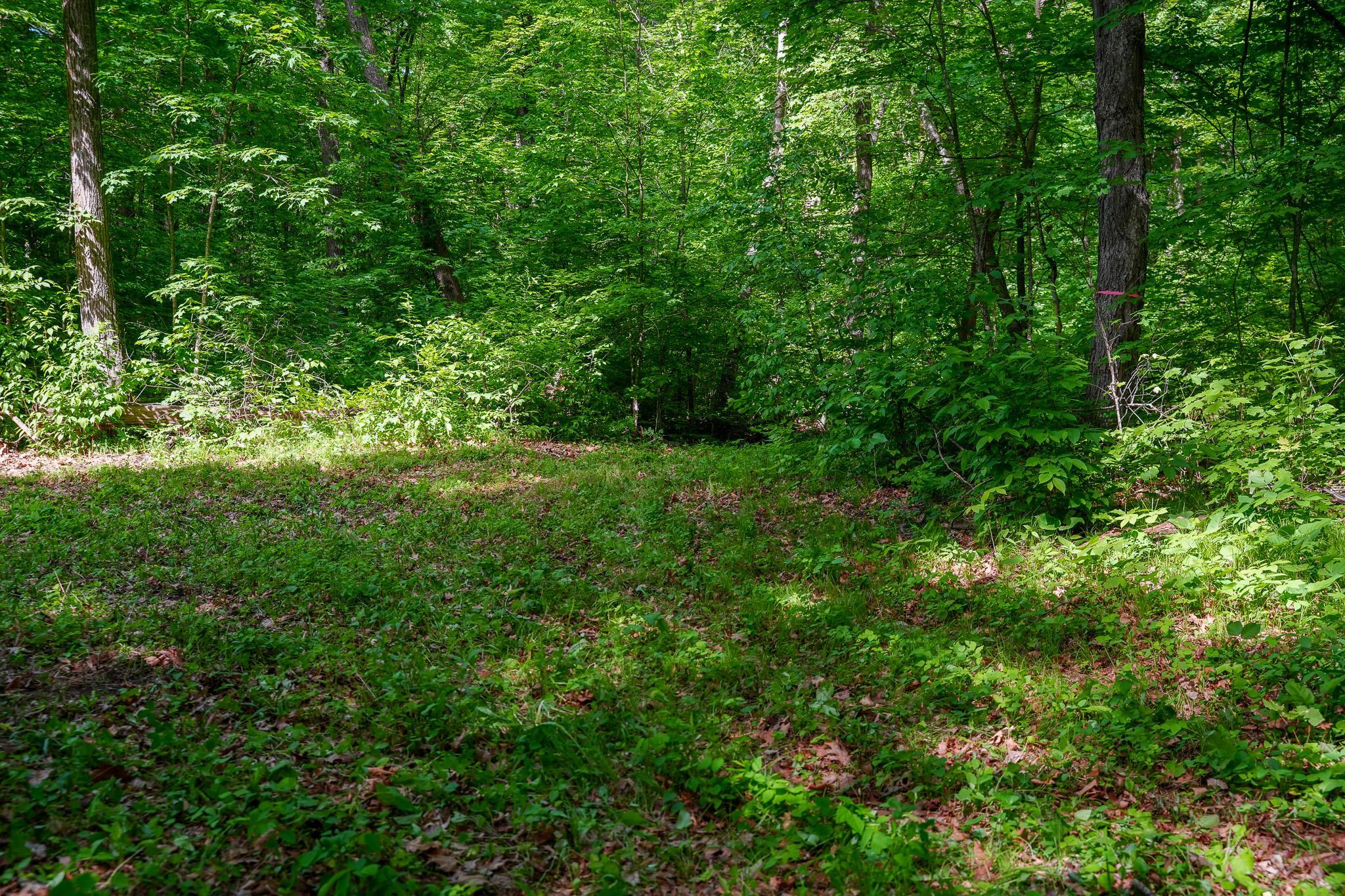 Tbd County Highway 47 Property Photo 34