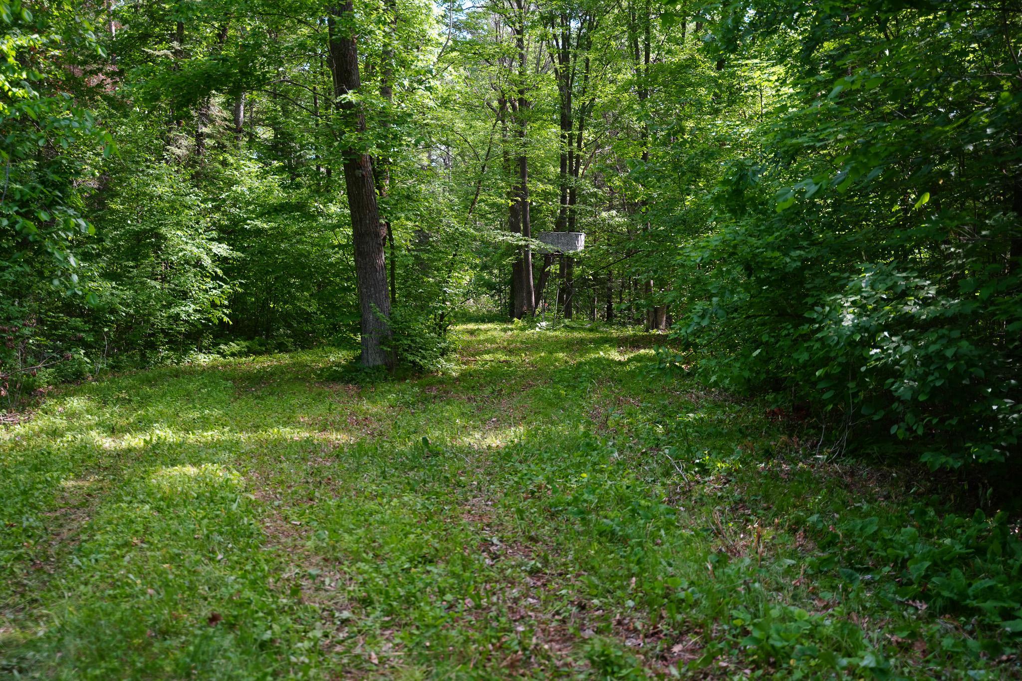 Tbd County Highway 47 Property Photo 37