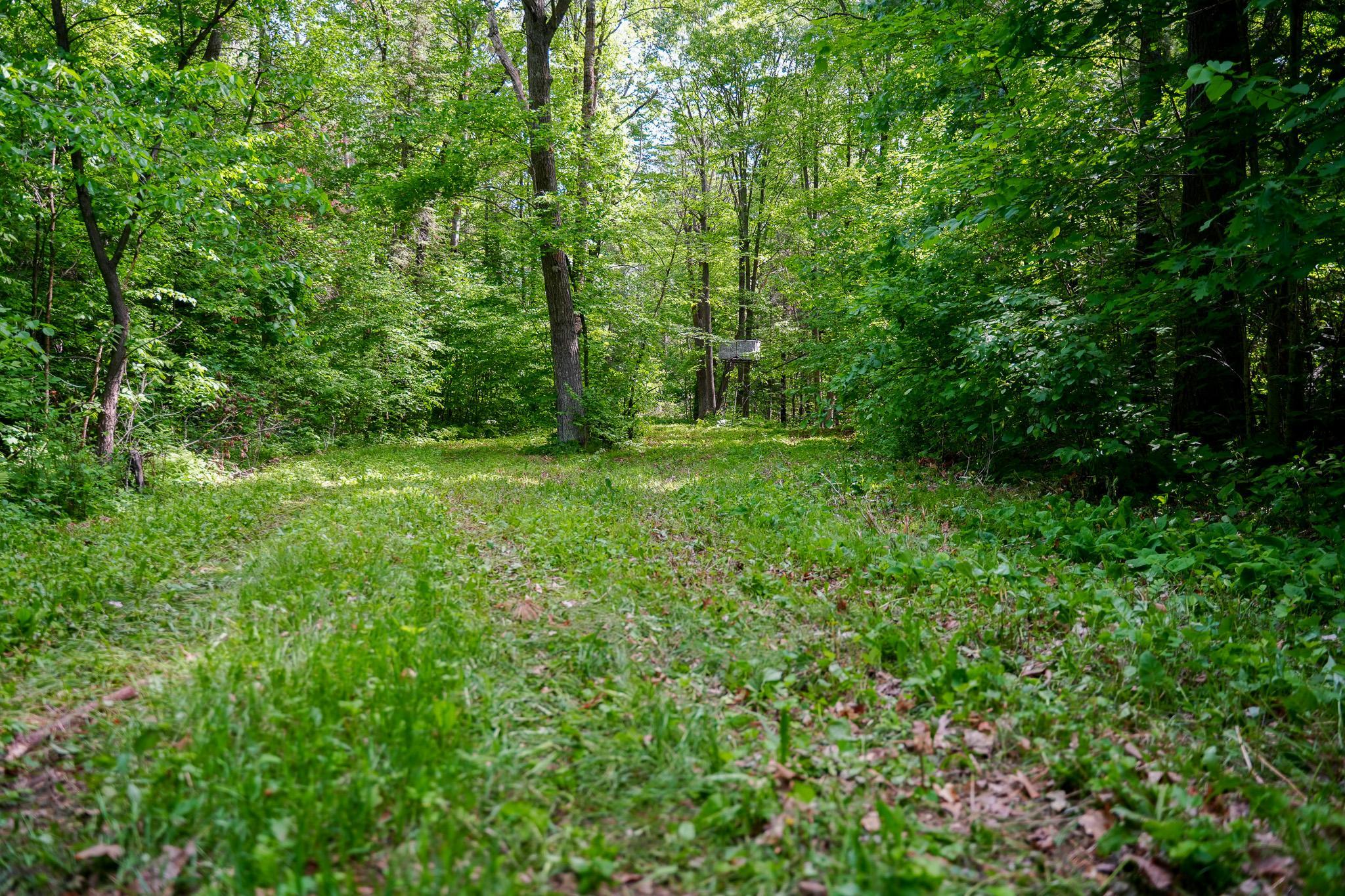 Tbd County Highway 47 Property Photo 38