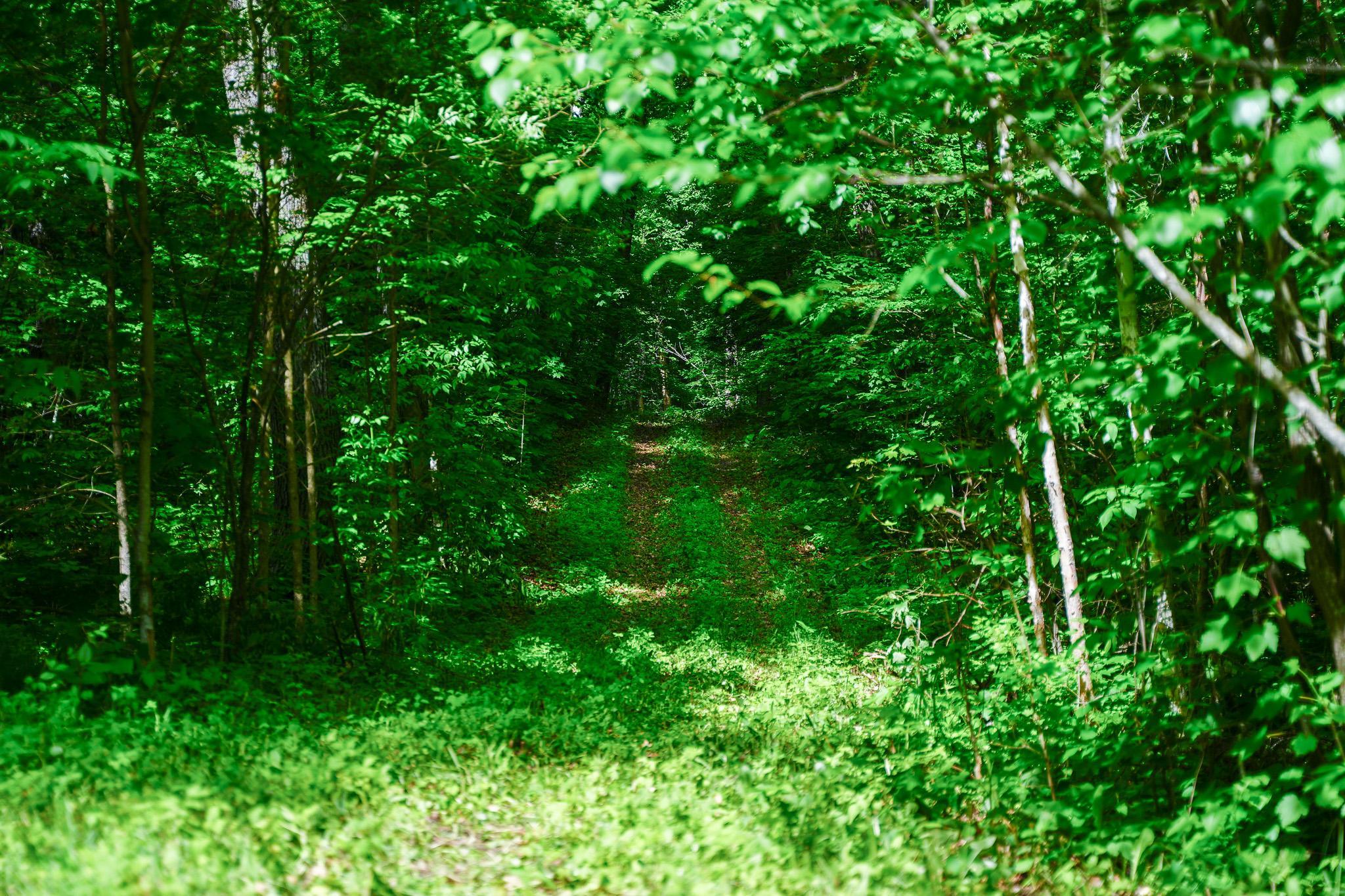 Tbd County Highway 47 Property Photo 39
