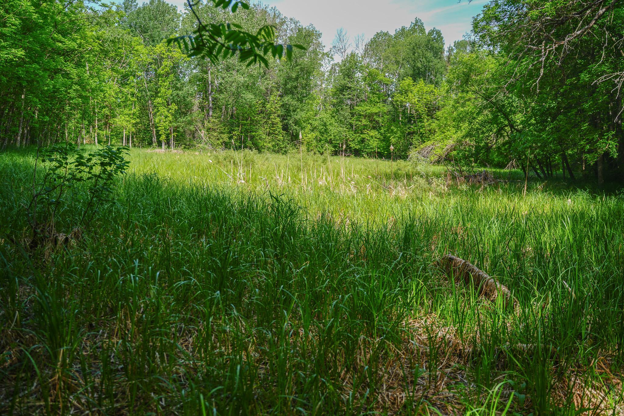 Tbd County Highway 47 Property Photo 40