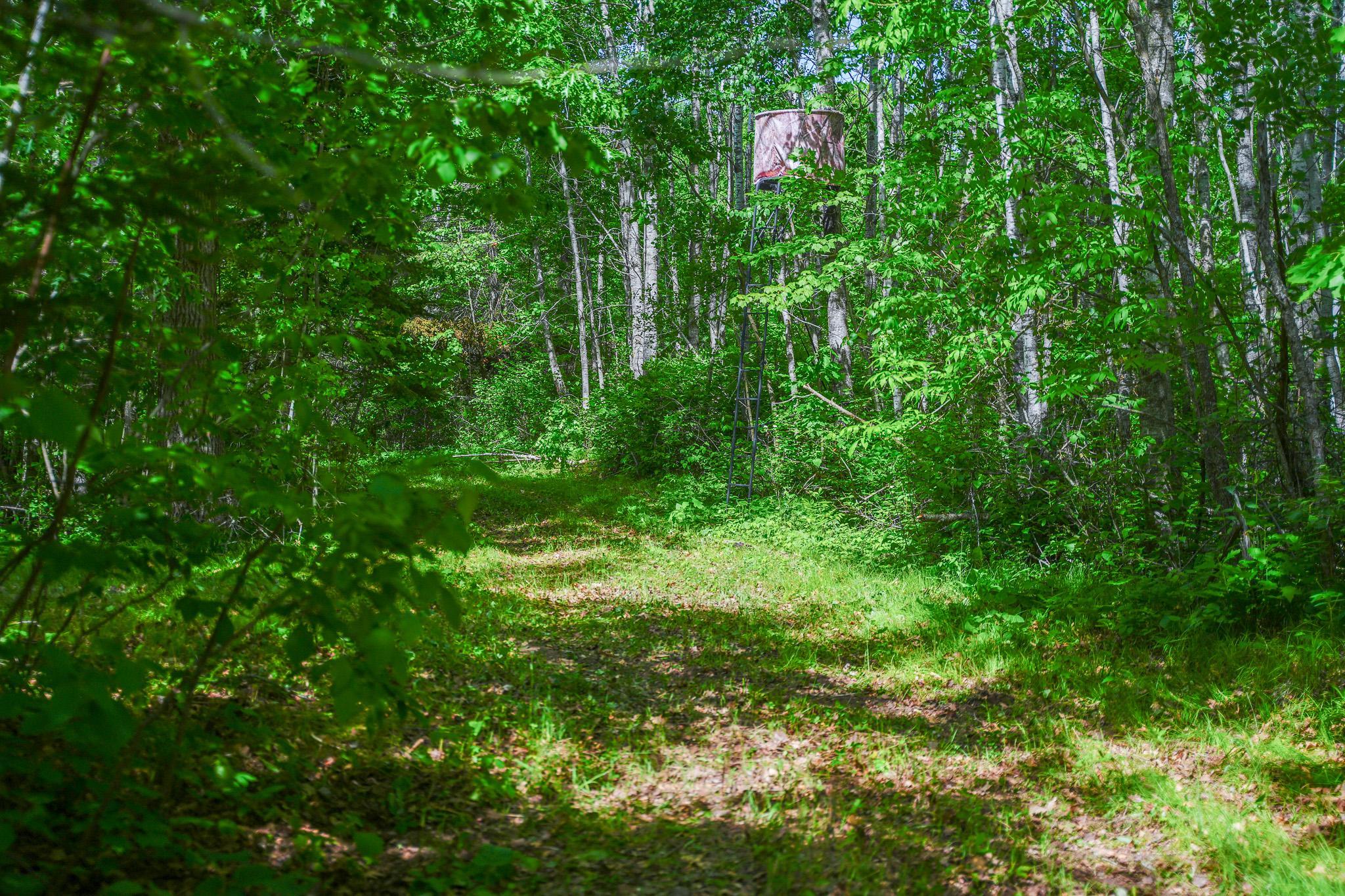 Tbd County Highway 47 Property Photo 41