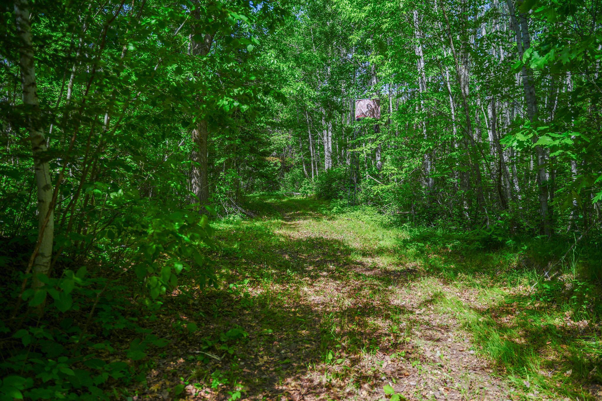 Tbd County Highway 47 Property Photo 42