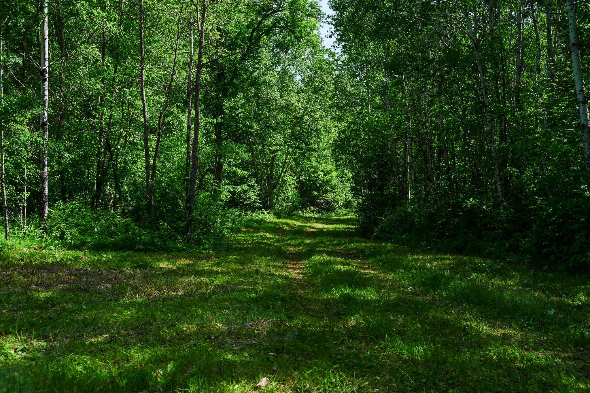 Tbd County Highway 47 Property Photo 44