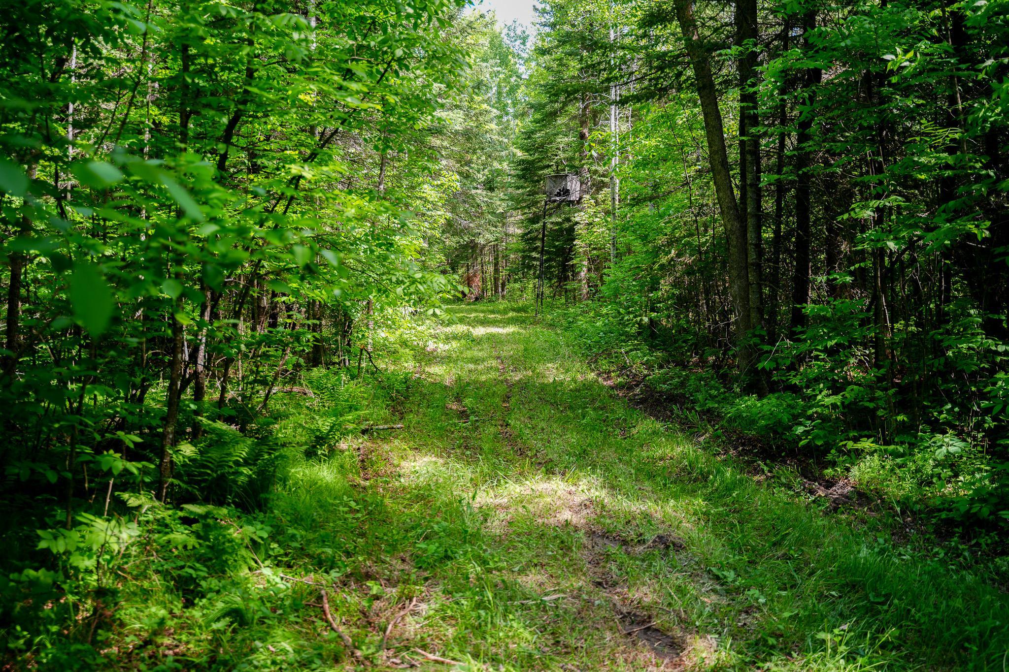 Tbd County Highway 47 Property Photo 46
