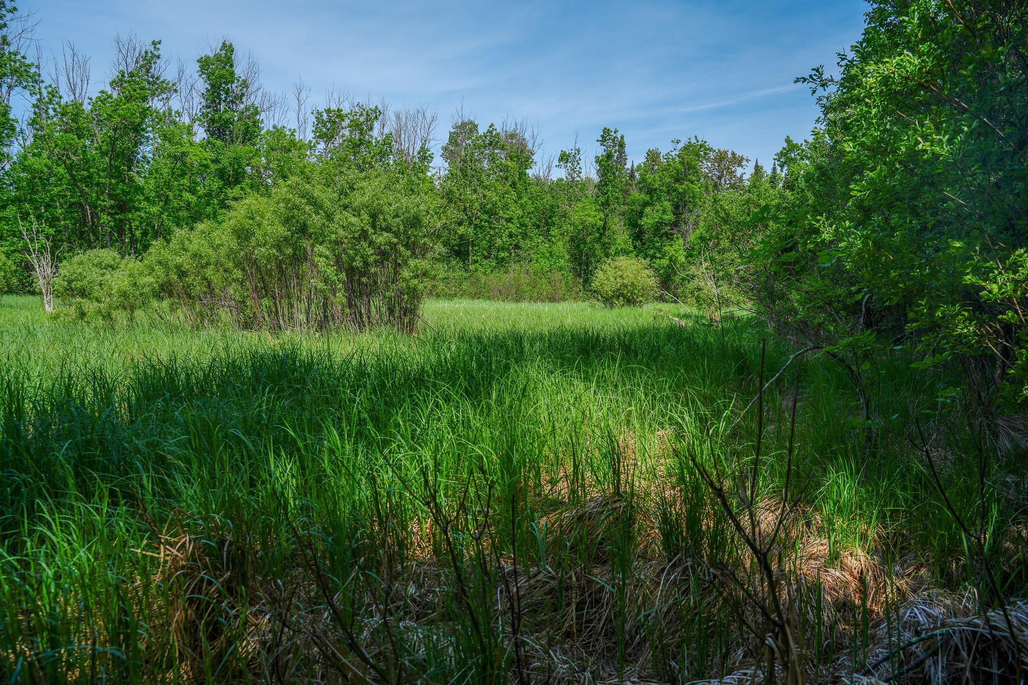 Tbd County Highway 47 Property Photo 47
