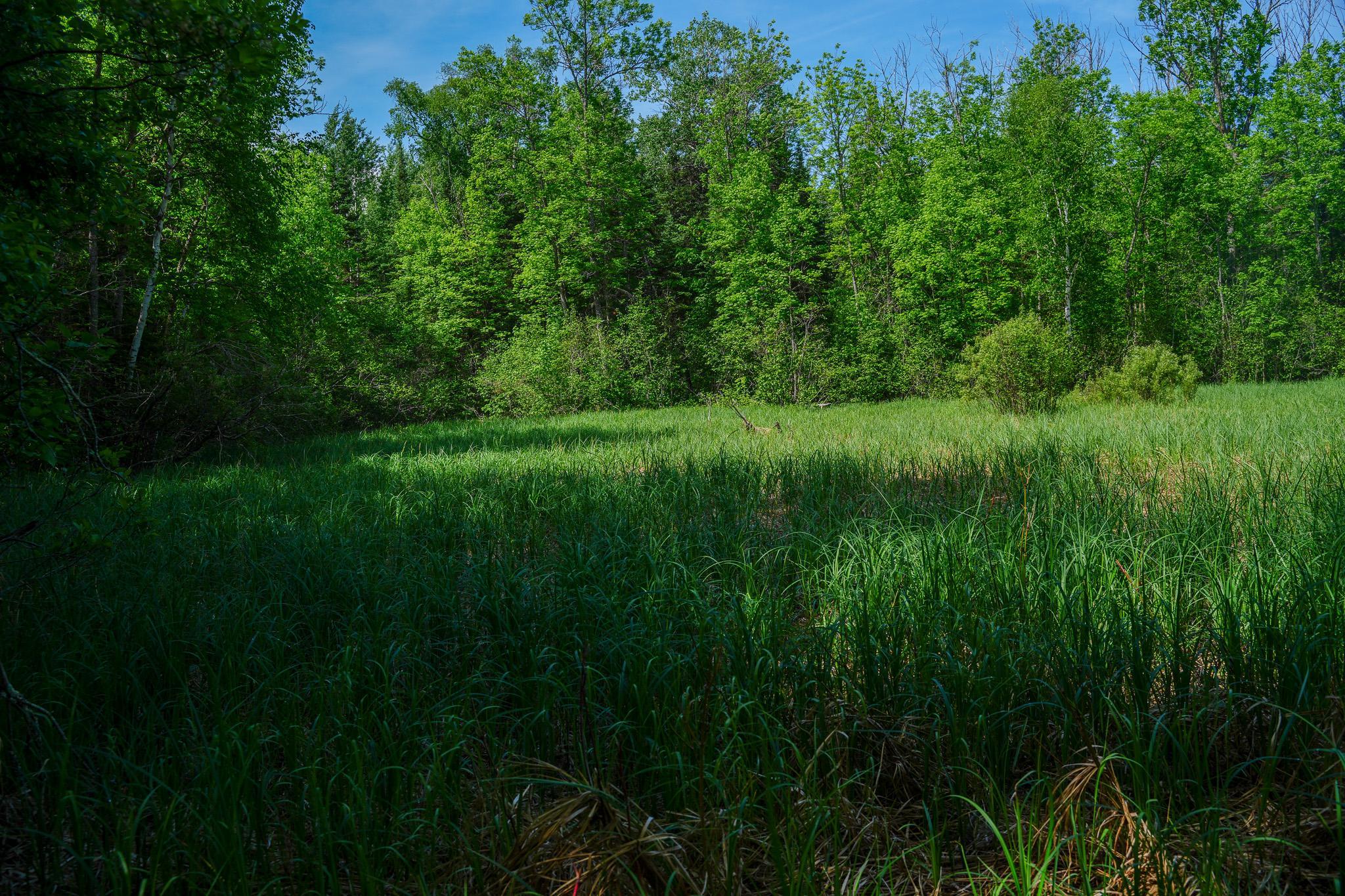 Tbd County Highway 47 Property Photo 48