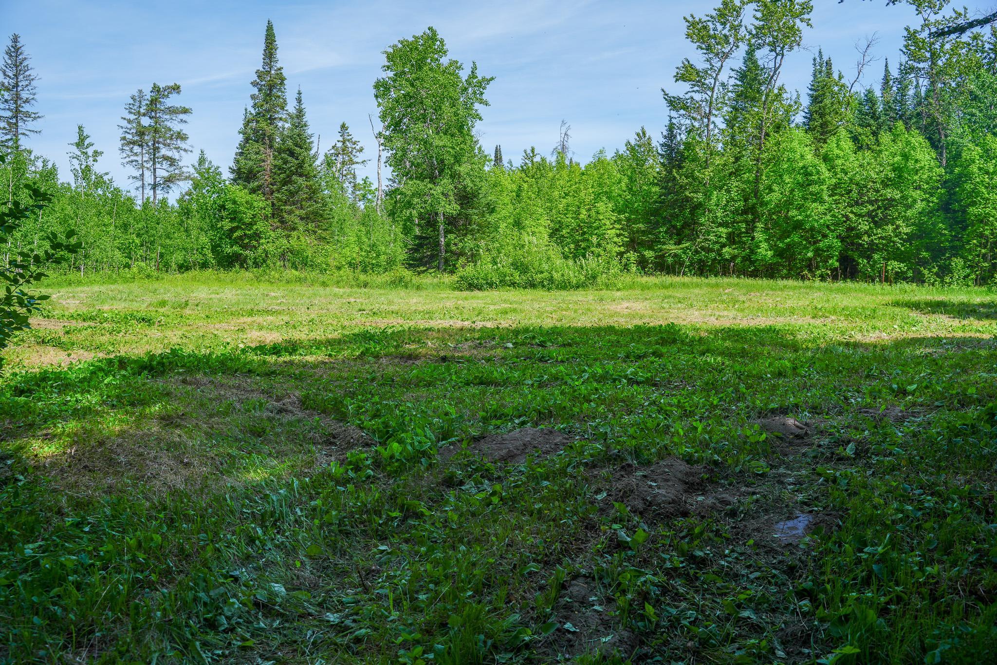 Tbd County Highway 47 Property Photo 49