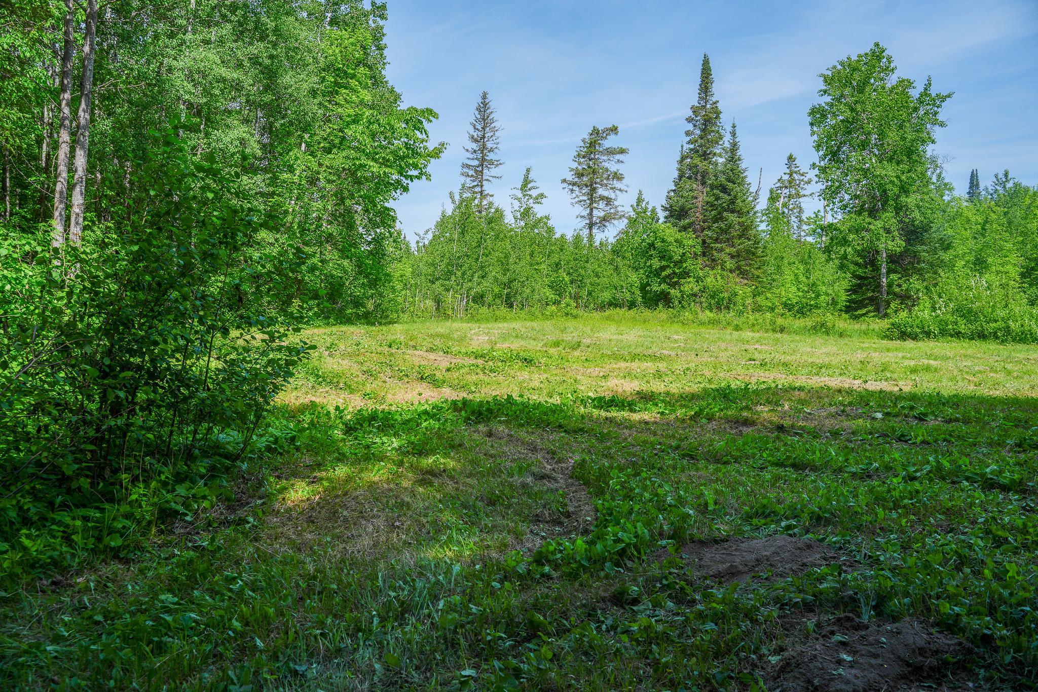 Tbd County Highway 47 Property Photo 50