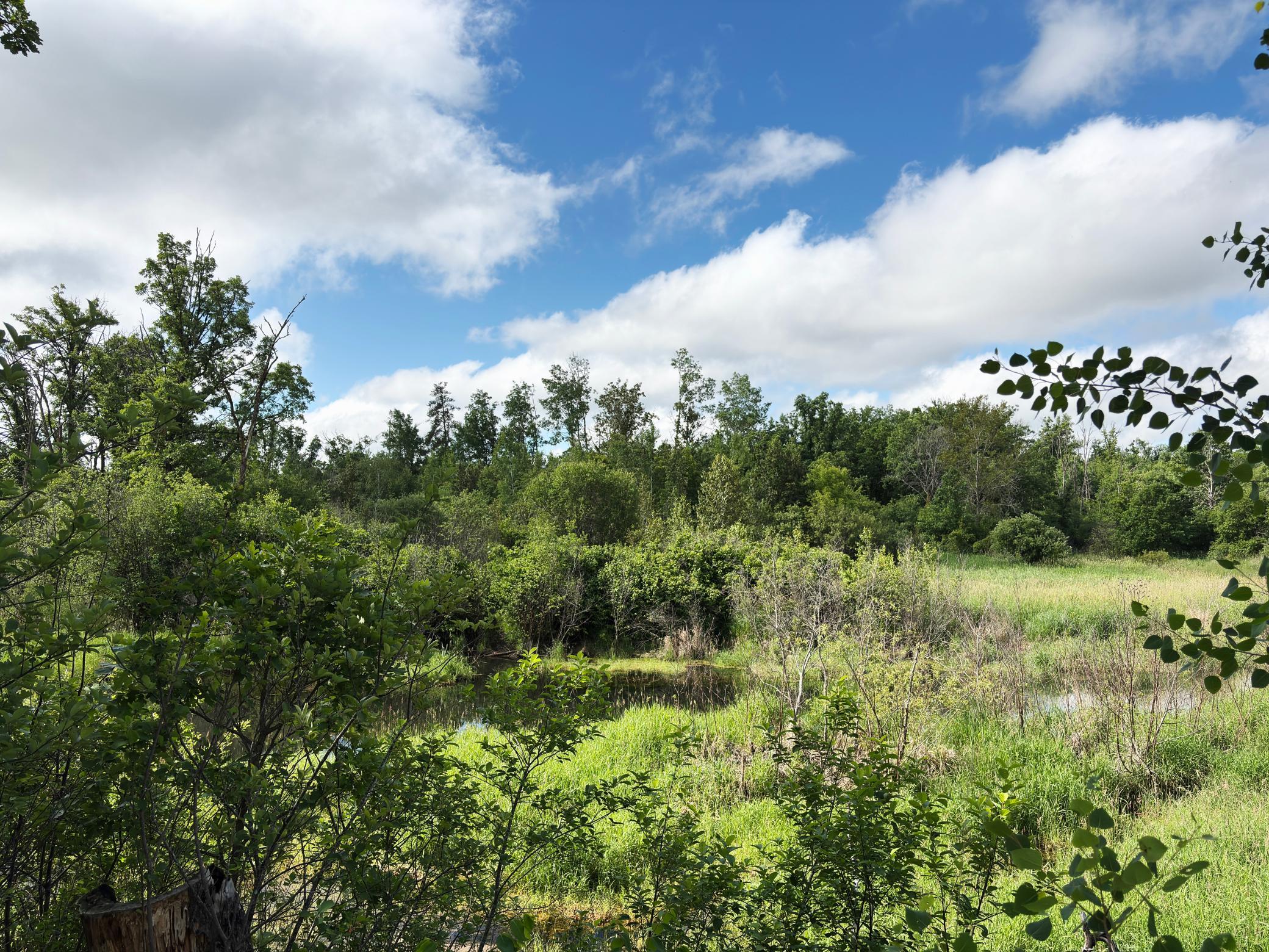 12207 110th Street Property Photo 46