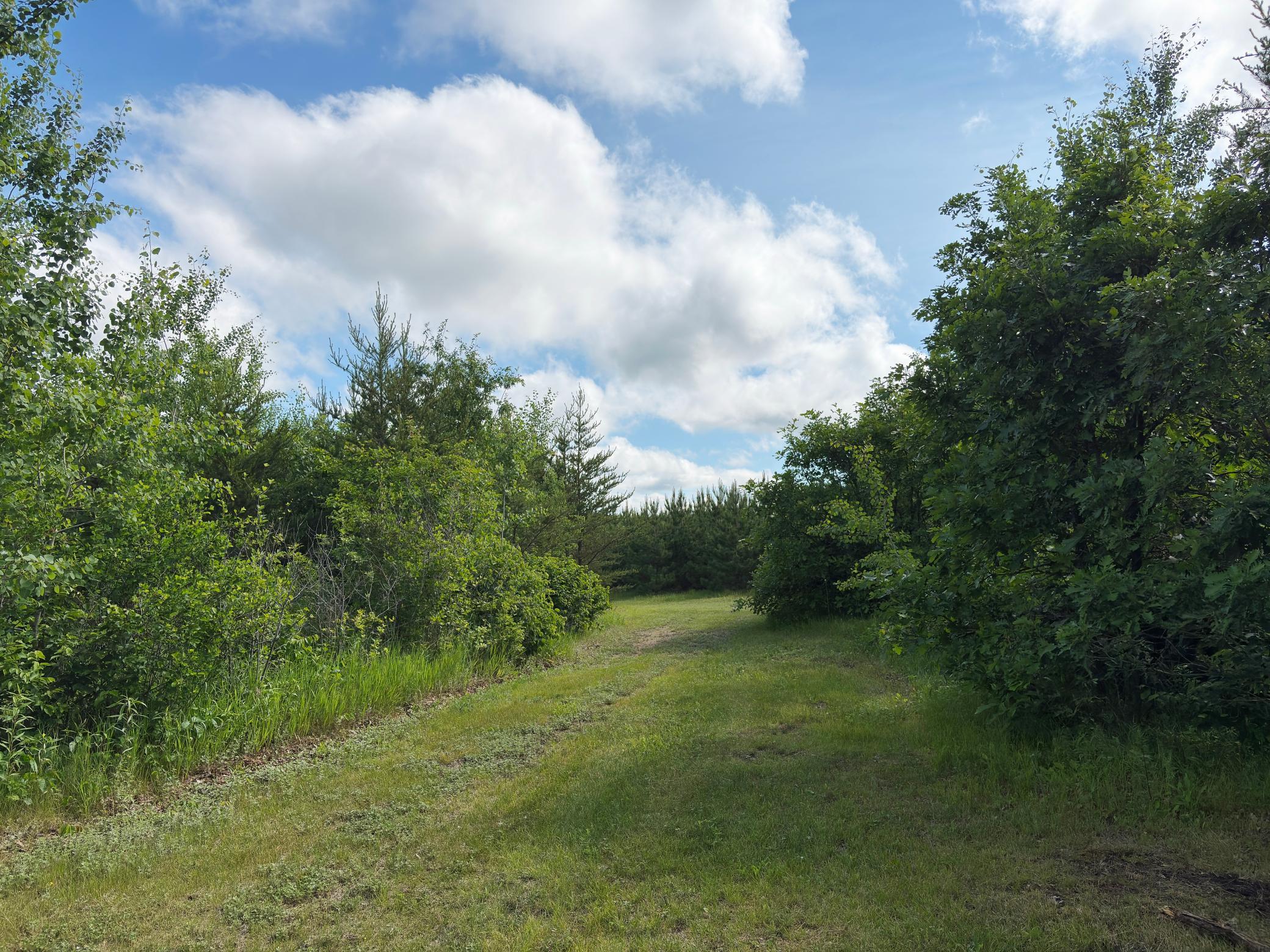 12207 110th Street Property Photo 47