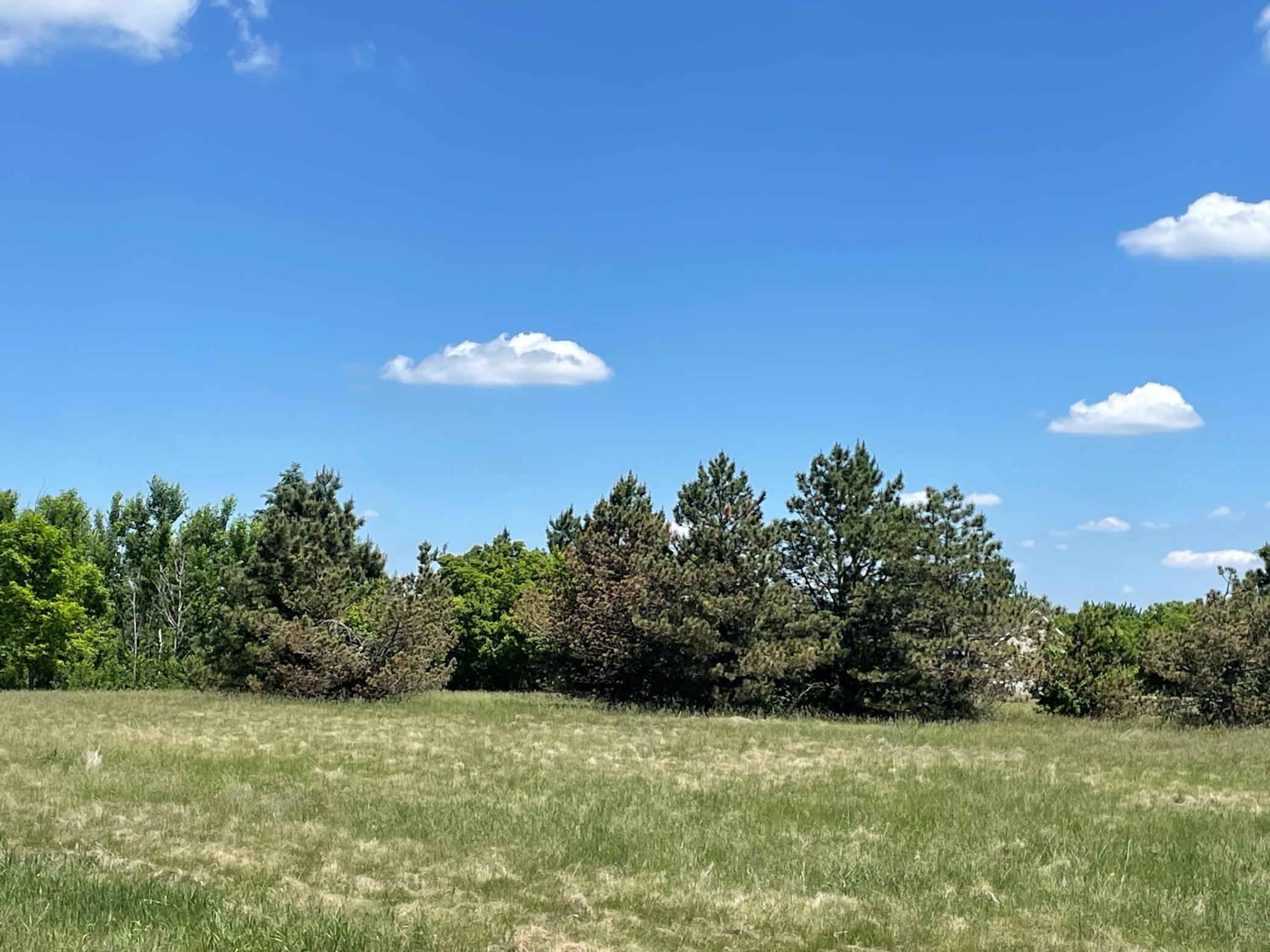 Tbd Turtle Creek Circle Property Photo 1
