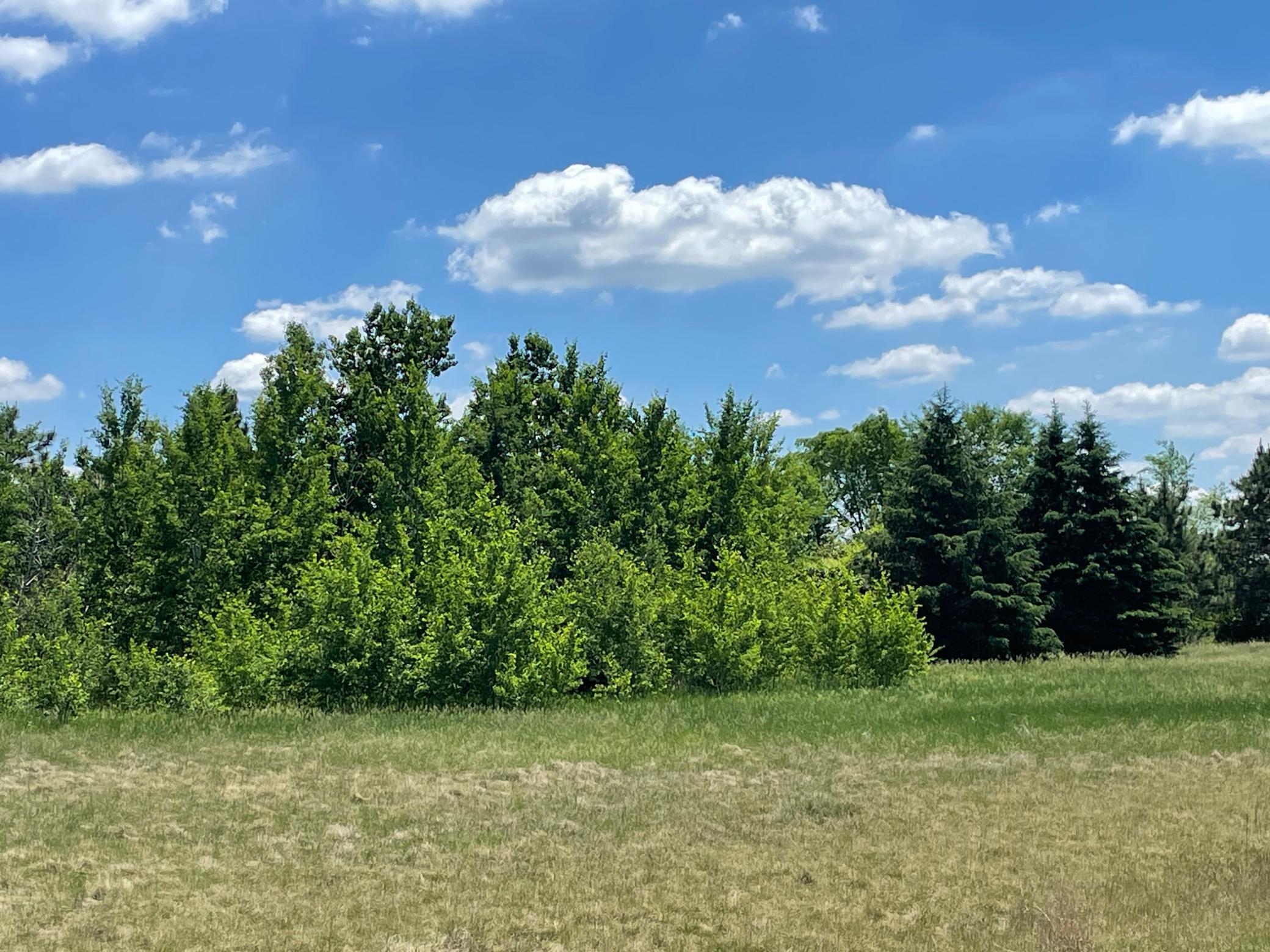 Tbd Turtle Creek Circle Property Photo 3