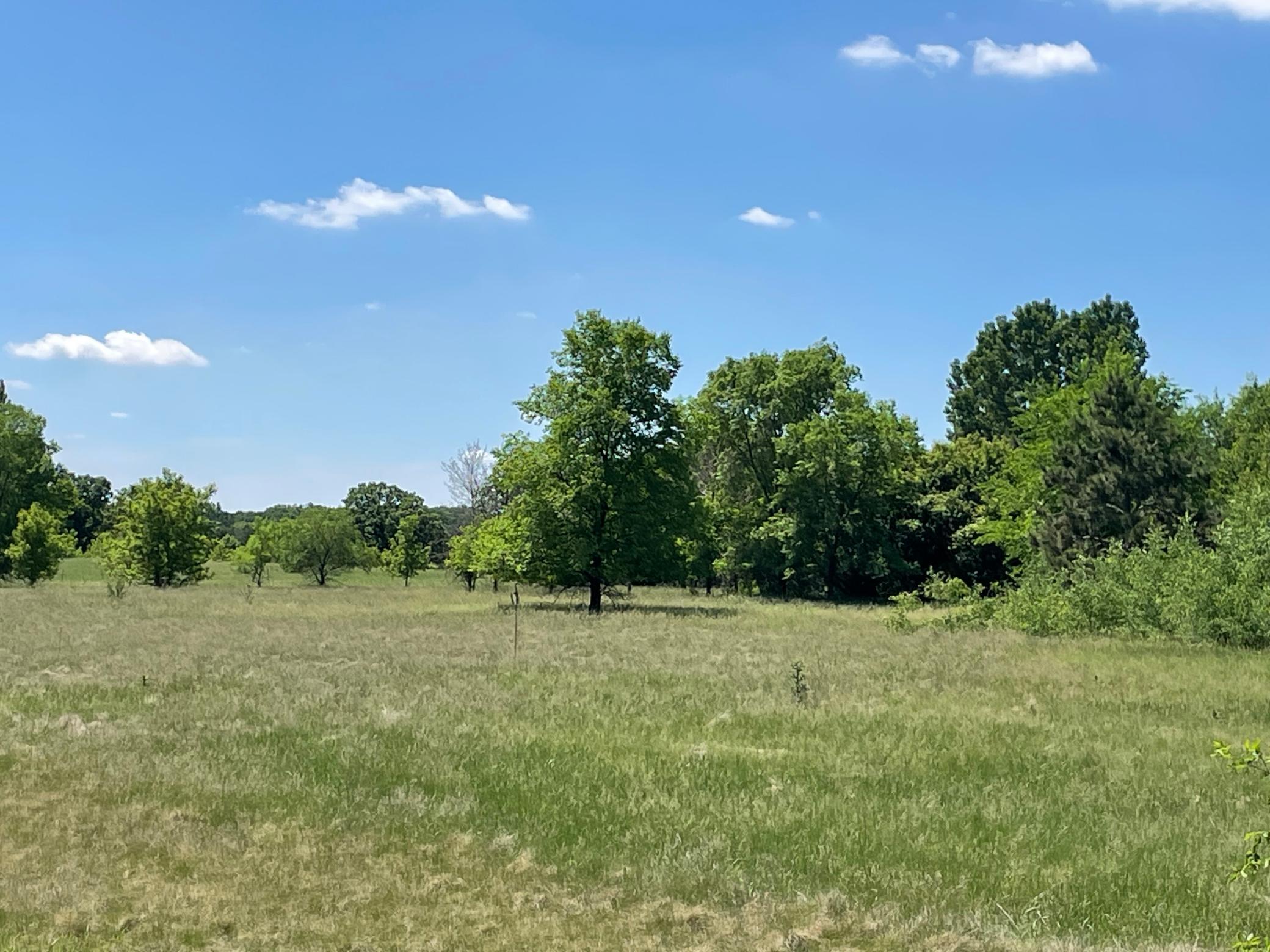 Tbd Turtle Creek Circle Property Photo 9