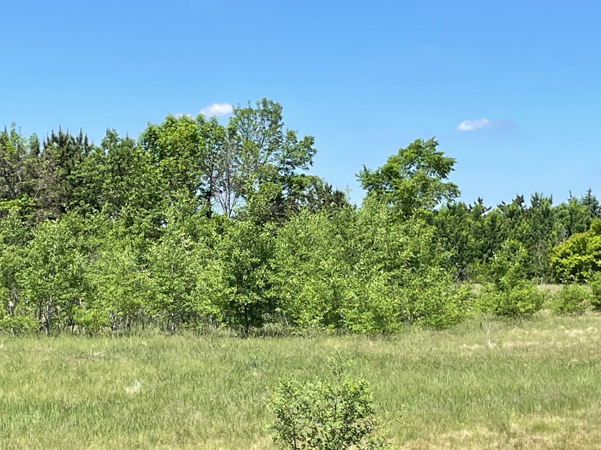 Tbd Turtle Creek Circle Property Photo 11