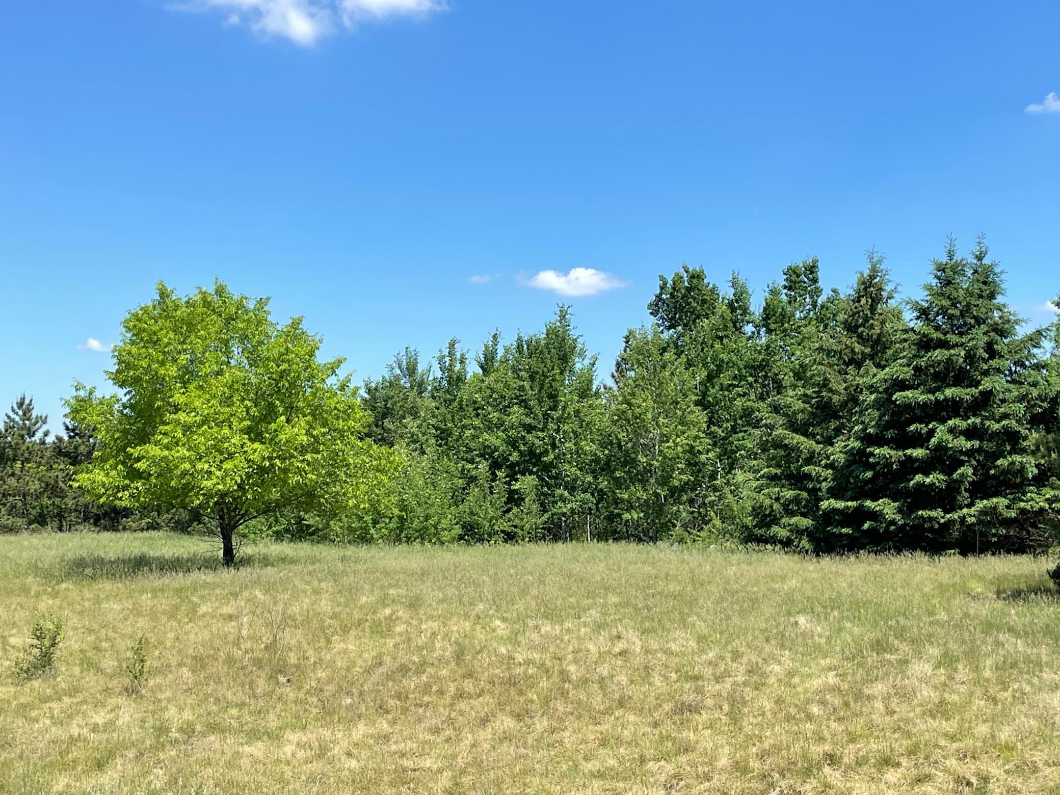 Tbd Turtle Creek Circle Property Photo 14