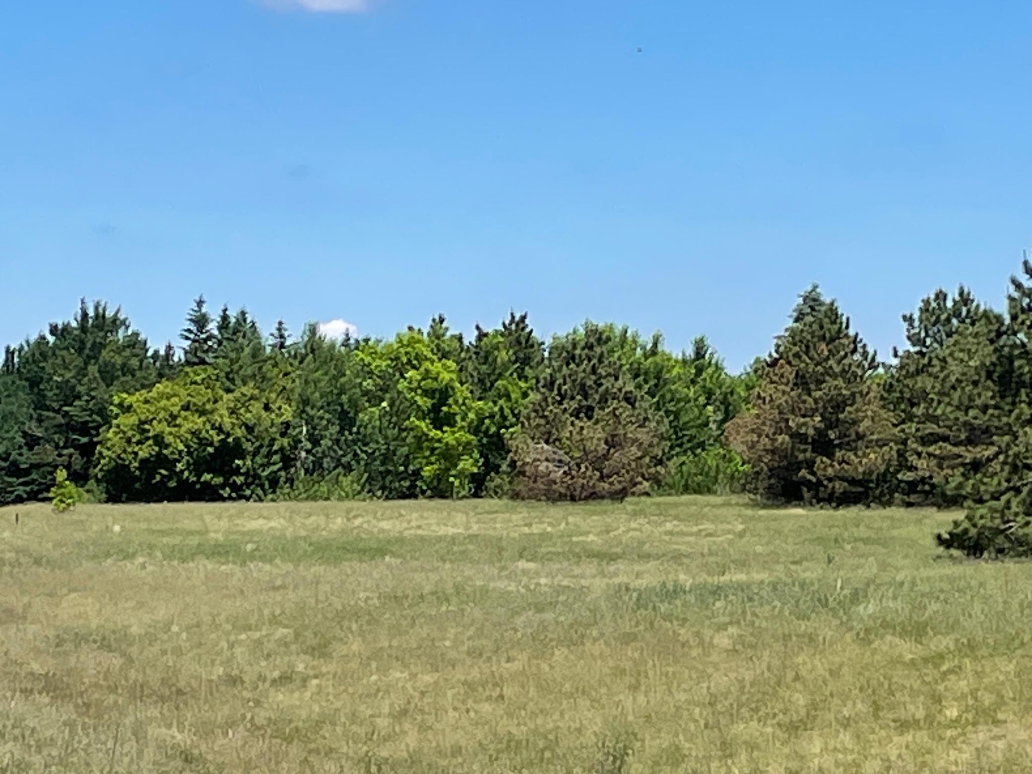 Tbd Turtle Creek Circle Property Photo 15