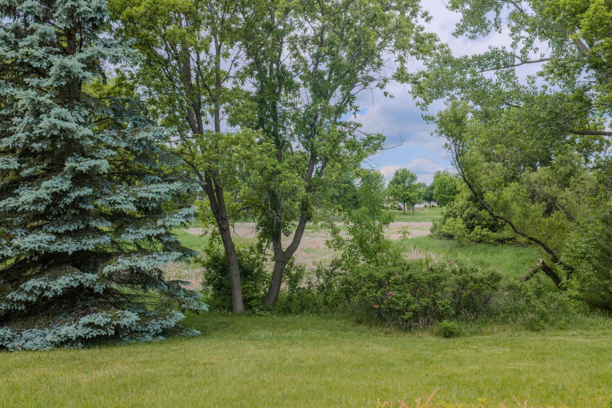 22906 Turtle Creek Circle Property Photo 28