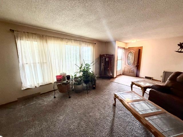 810 Sunrise Boulevard Property Photo 13