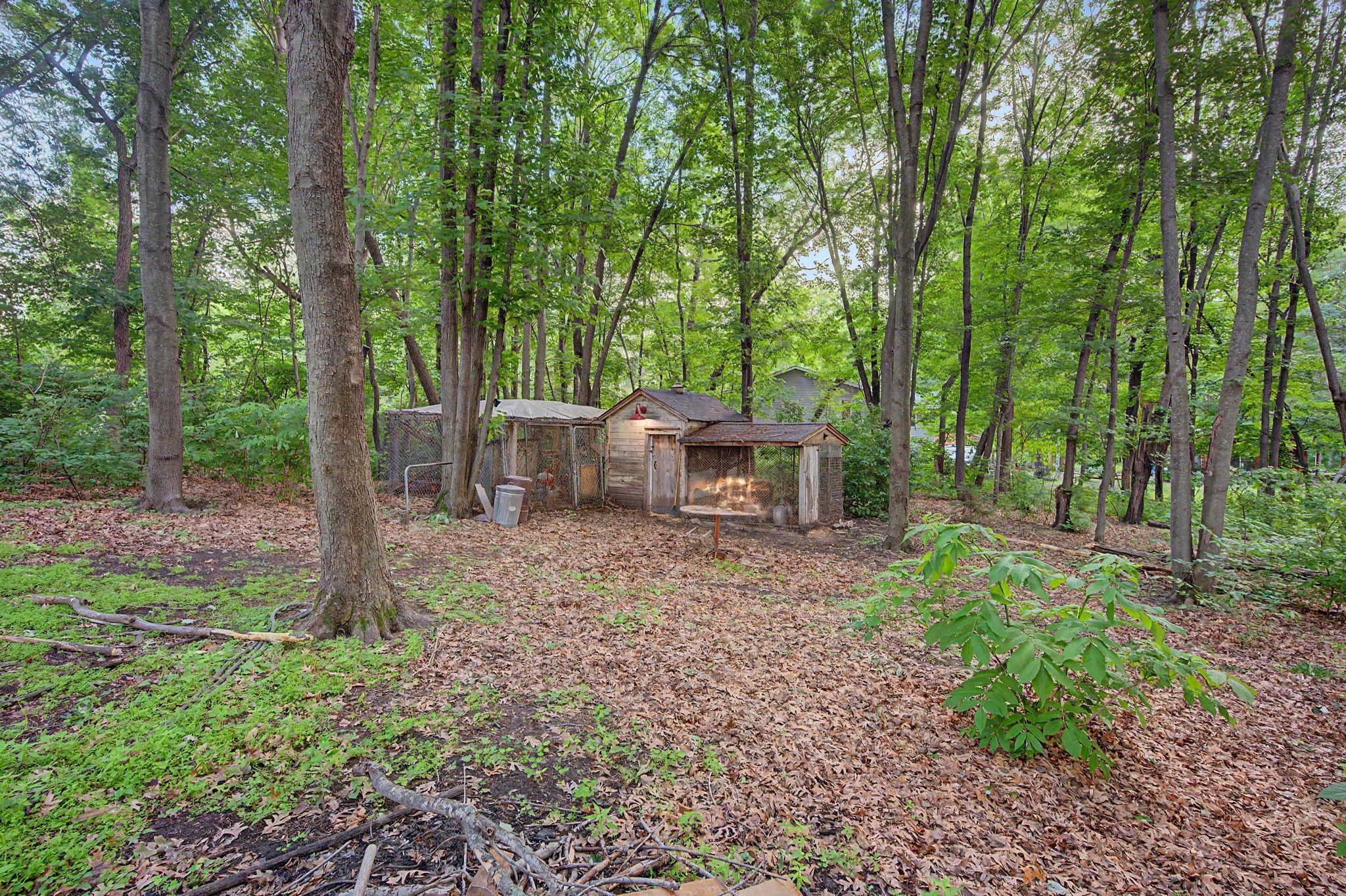 17356 Hiawatha Beach Drive Ne Property Photo 25