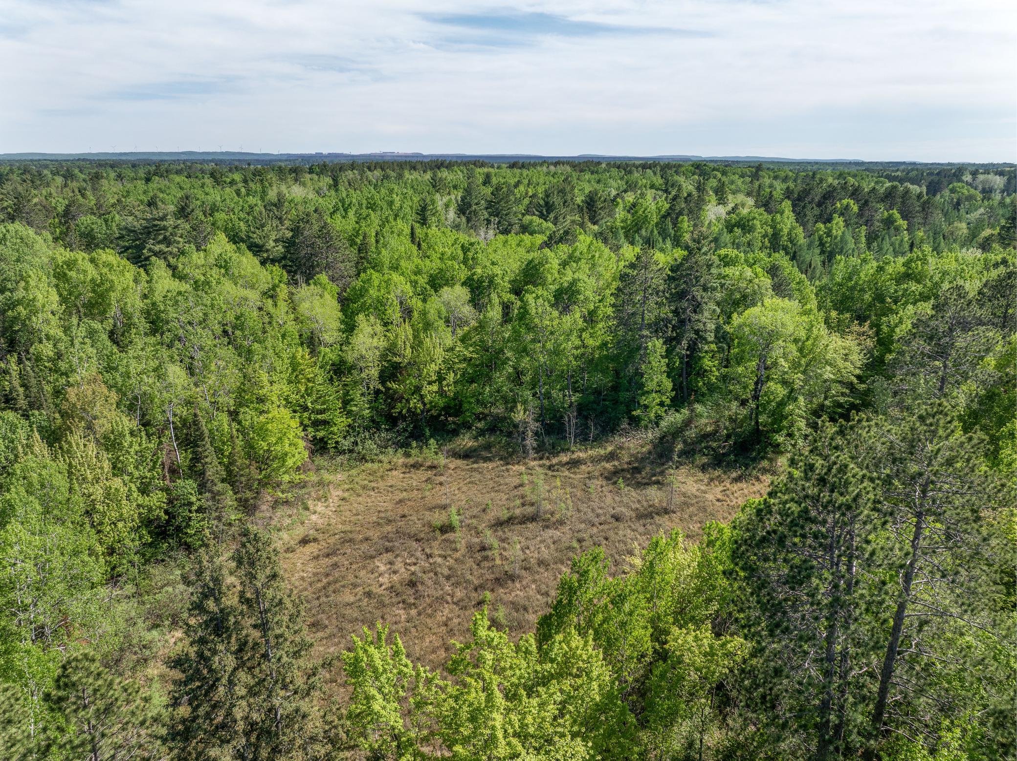 9064 Peppard Road Property Photo 12