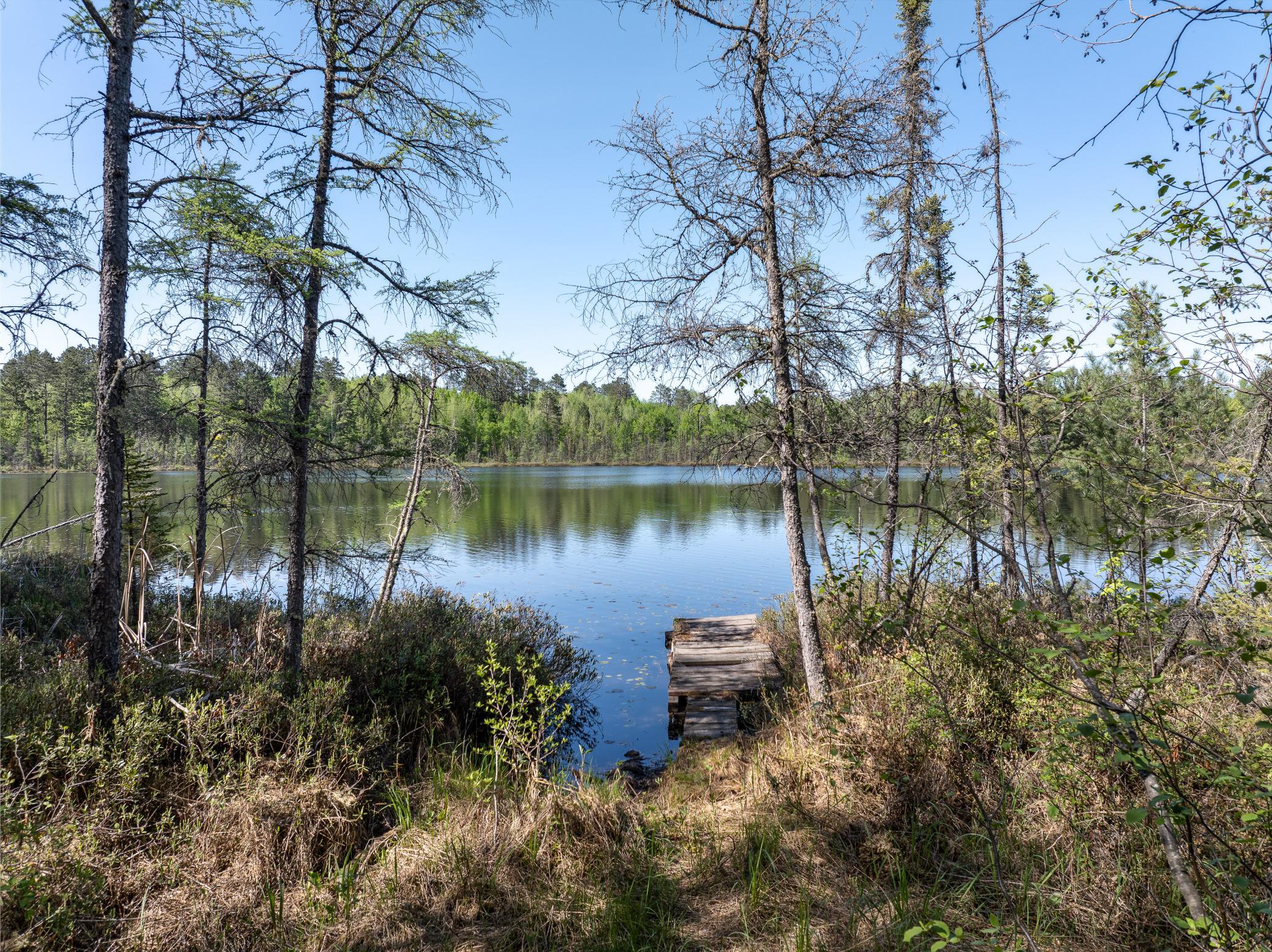 9064 Peppard Road Property Photo 18
