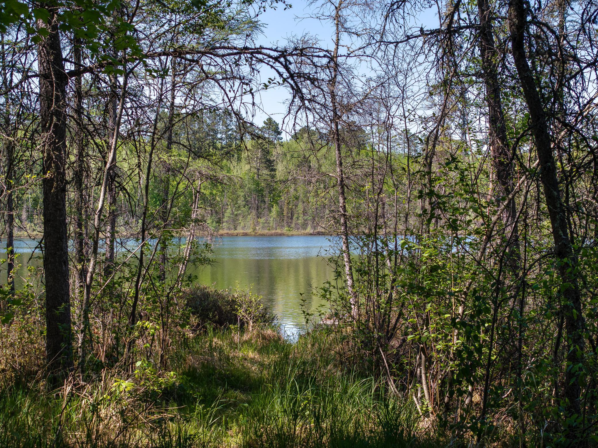 9064 Peppard Road Property Photo 19