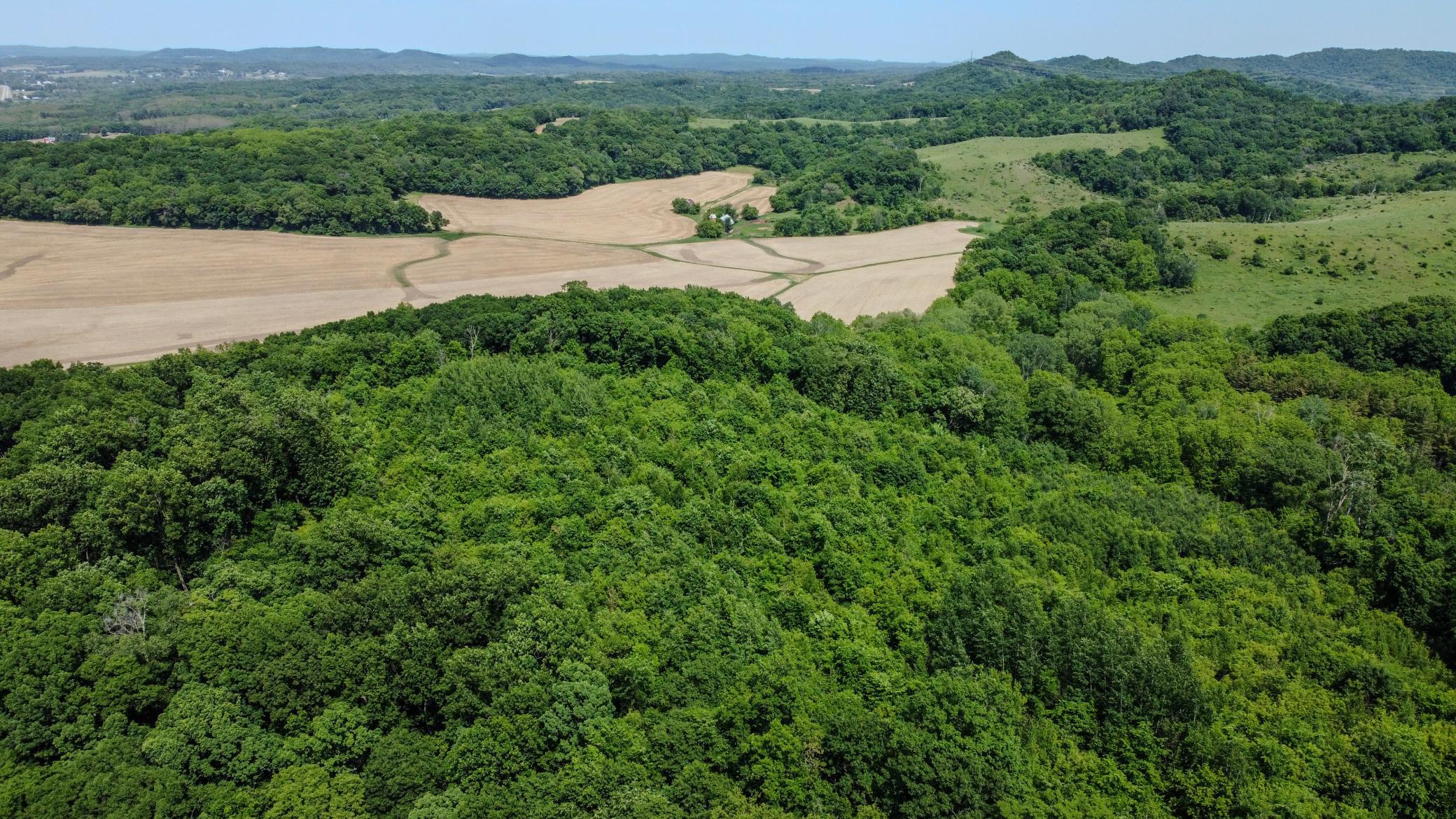00 Dopp Property Photo 14