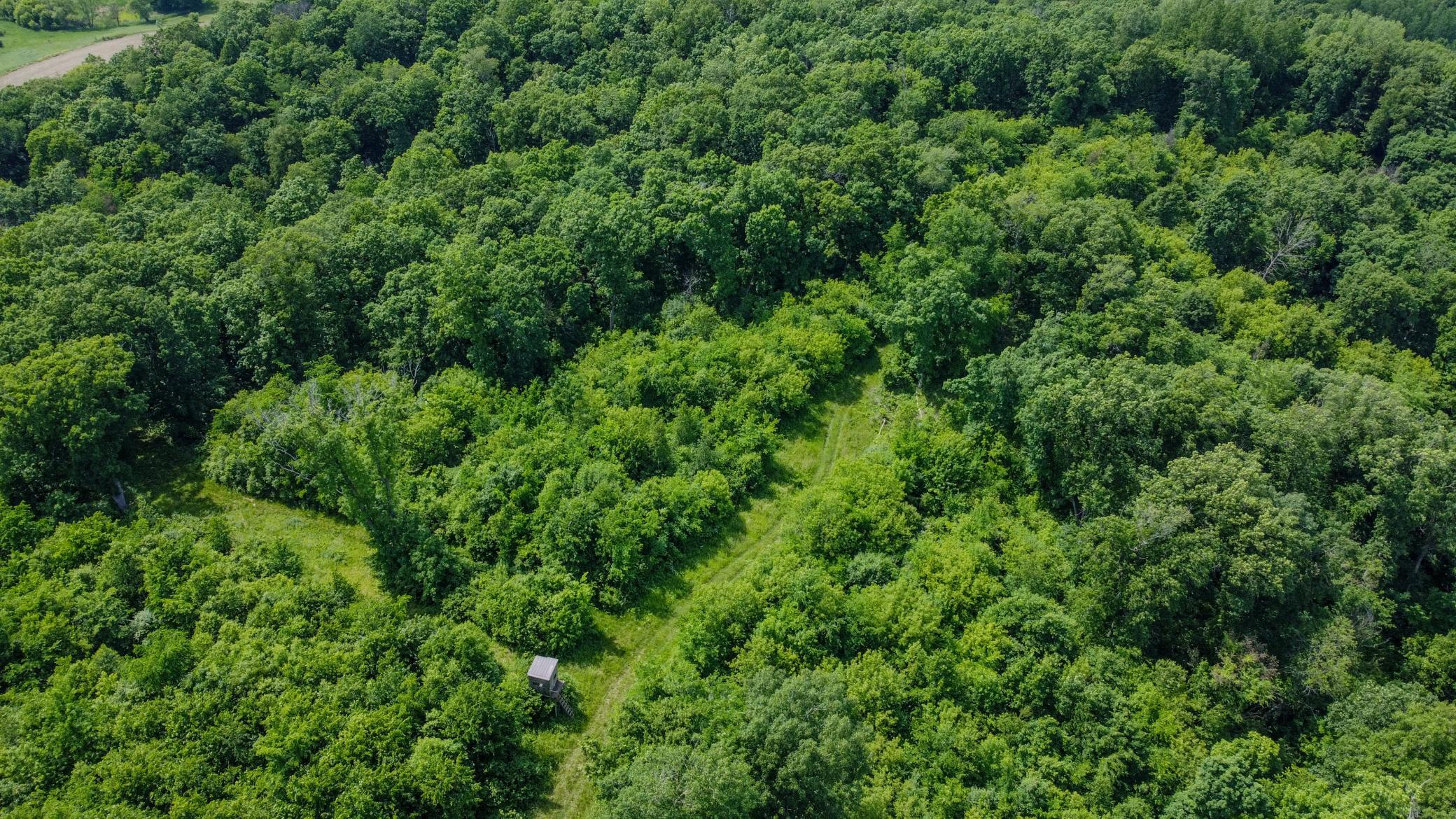 00 Dopp Property Photo 15