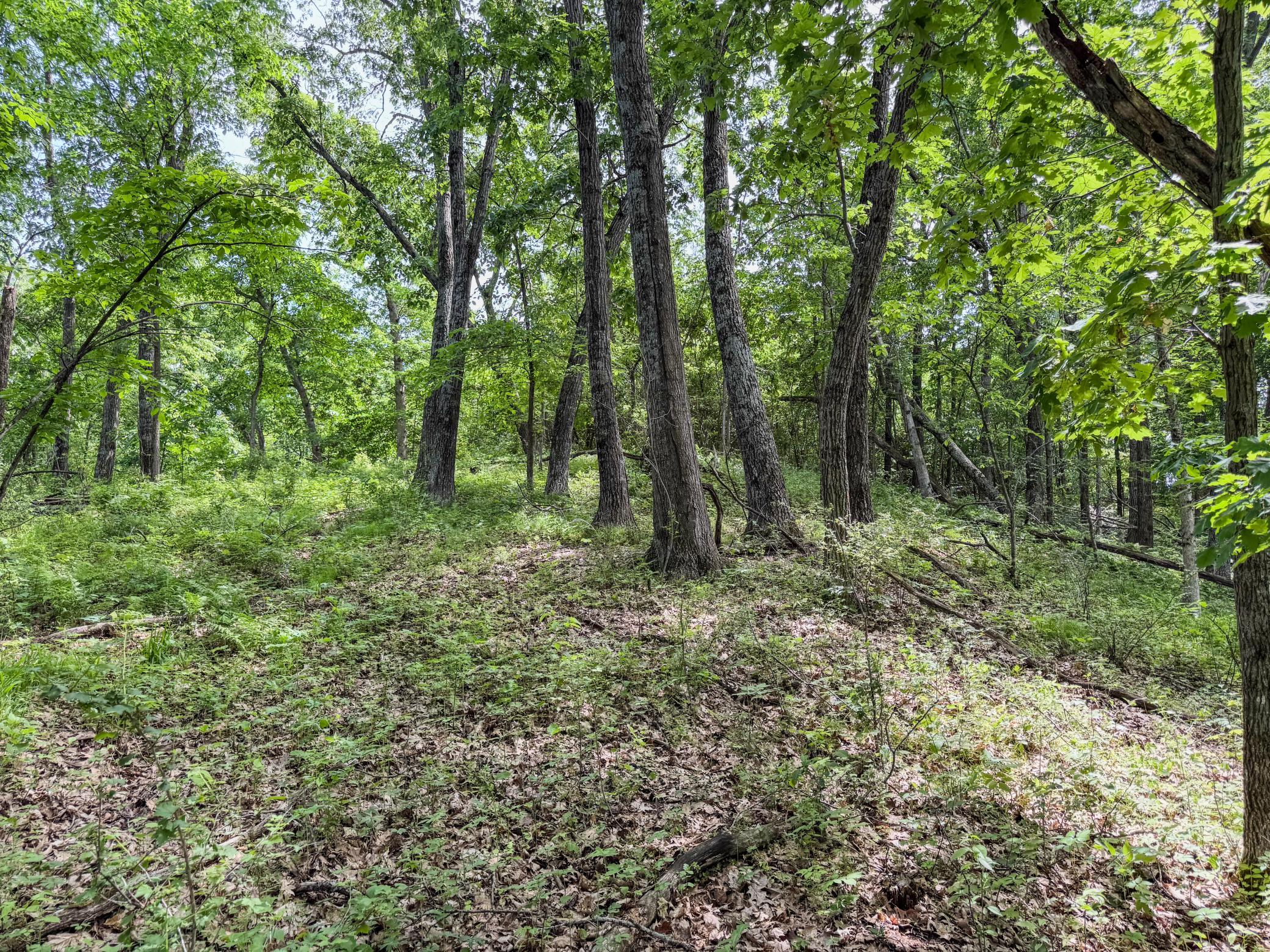 00 Dopp Property Photo 17