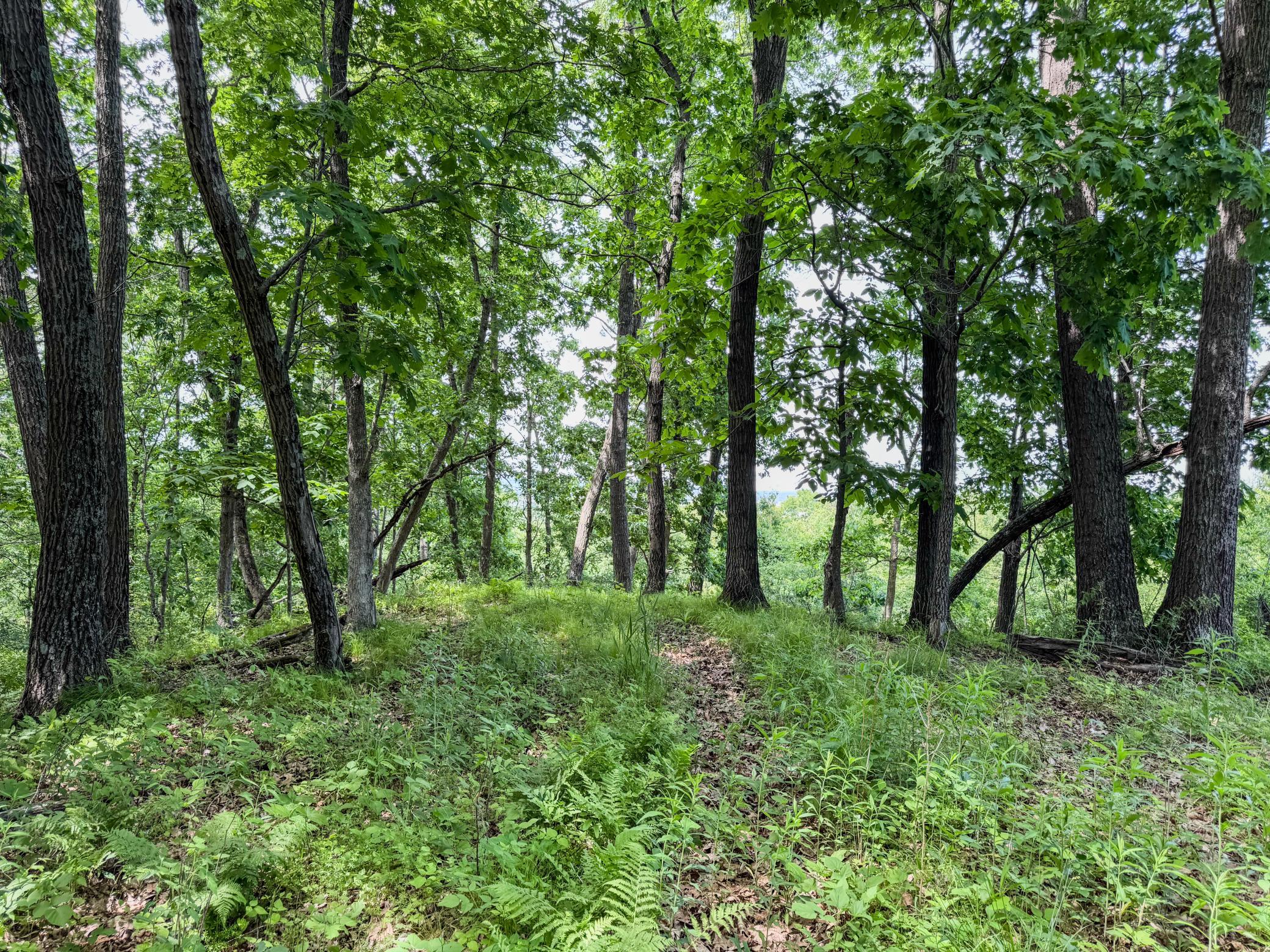 00 Dopp Property Photo 18
