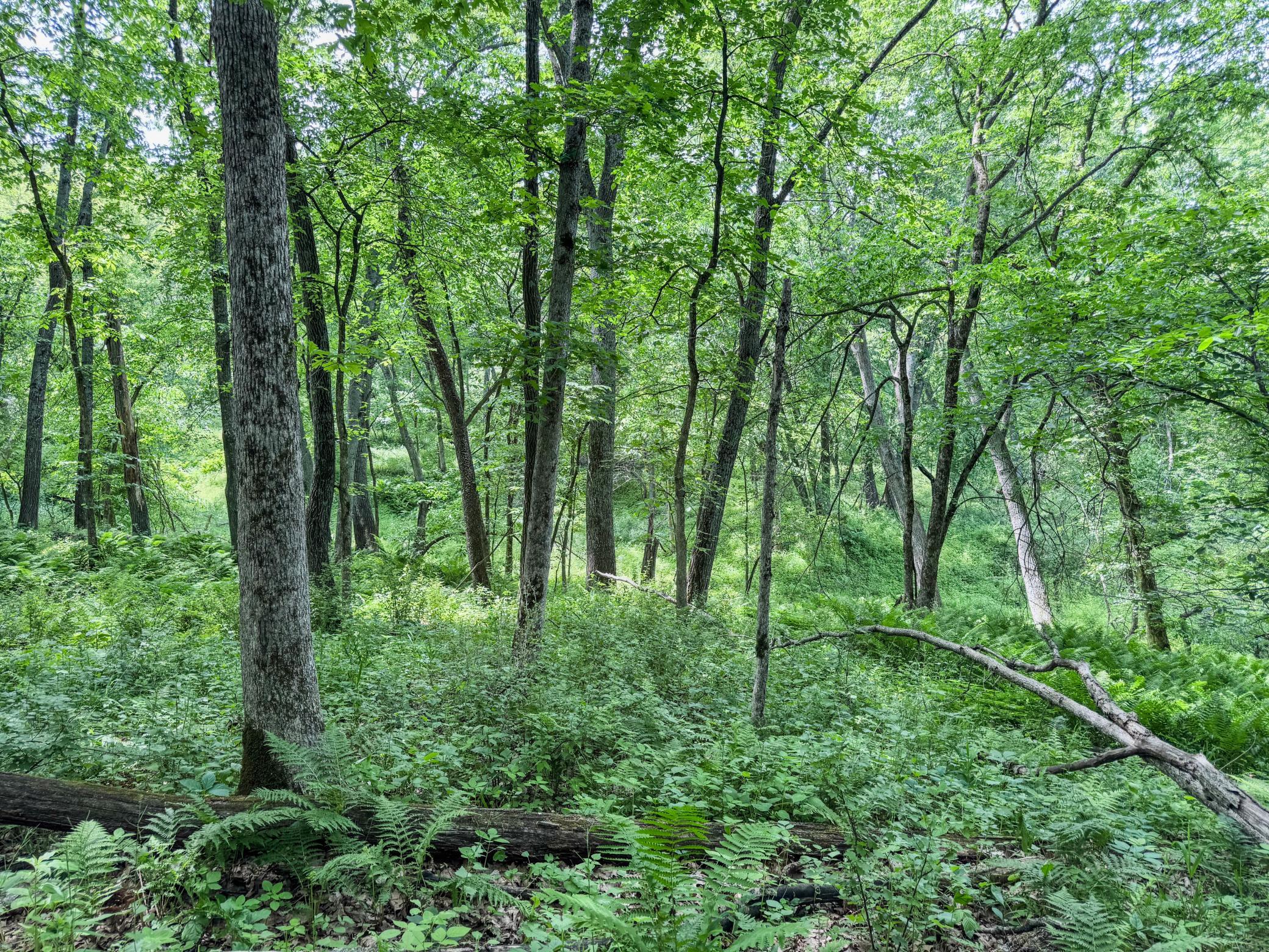 00 Dopp Property Photo 19