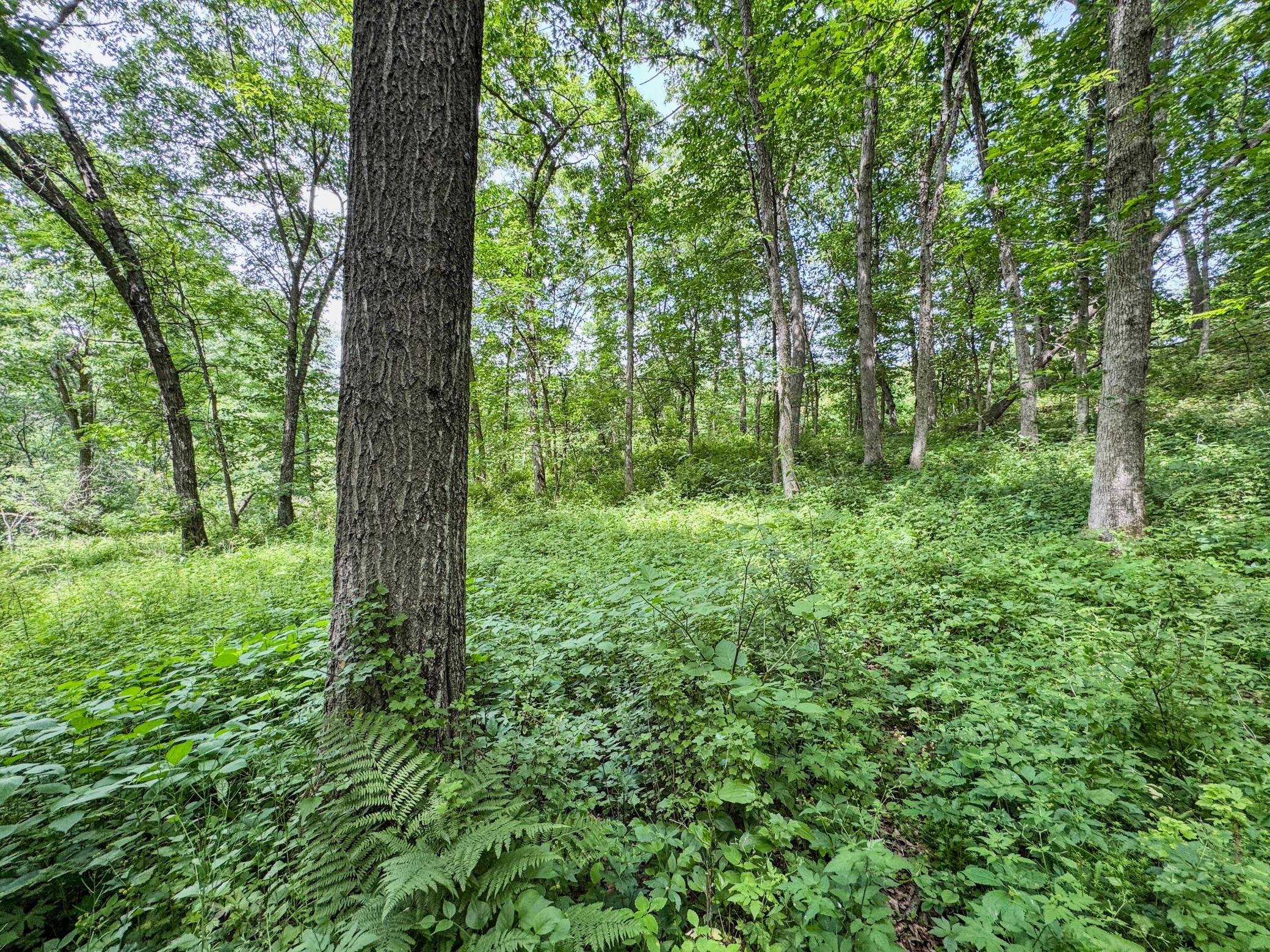 00 Dopp Property Photo 20