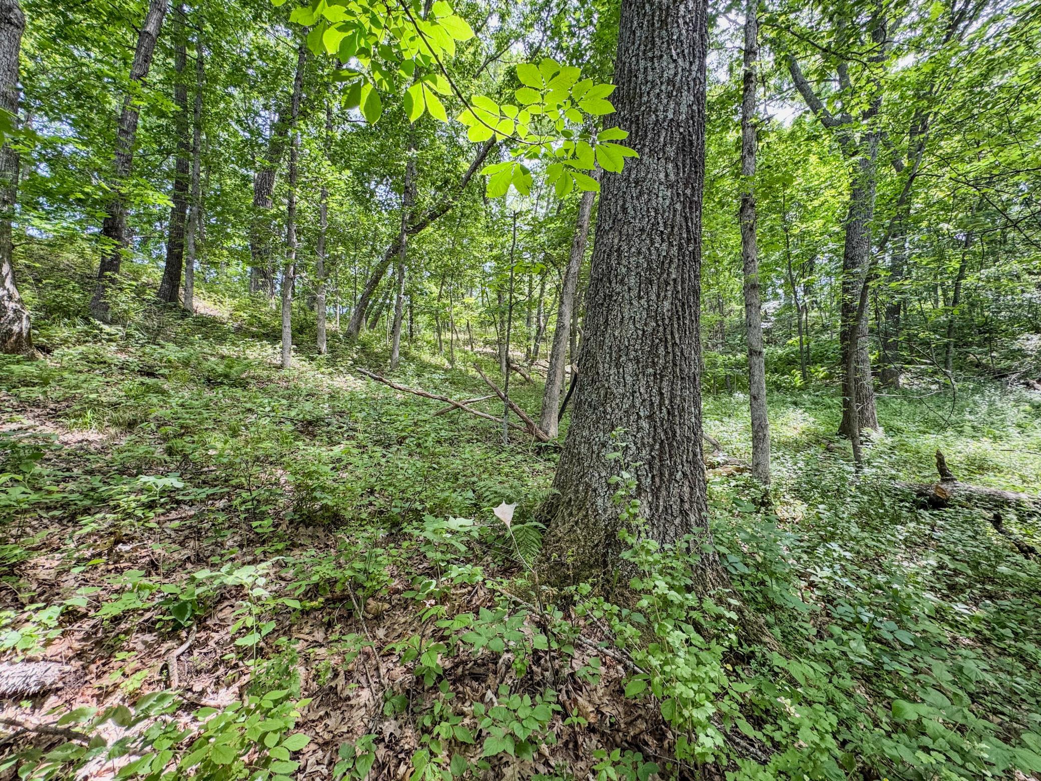00 Dopp Property Photo 22